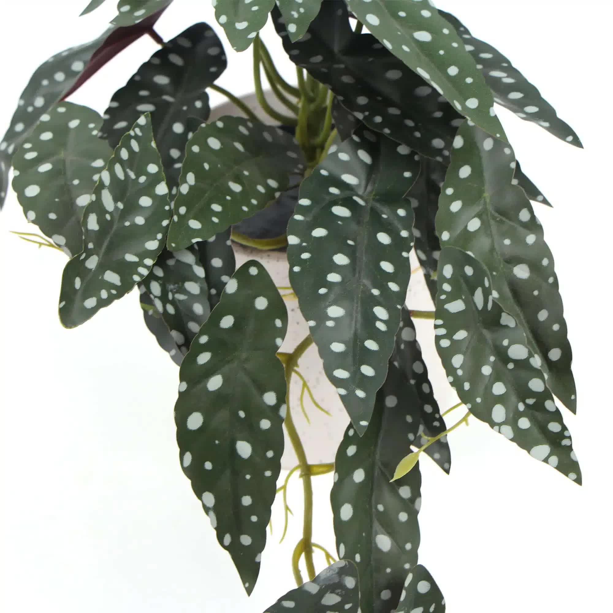 Artificial Begonia Maculata plant in decorative bowl, faux flora 30cm potted plant for home and garden decor.