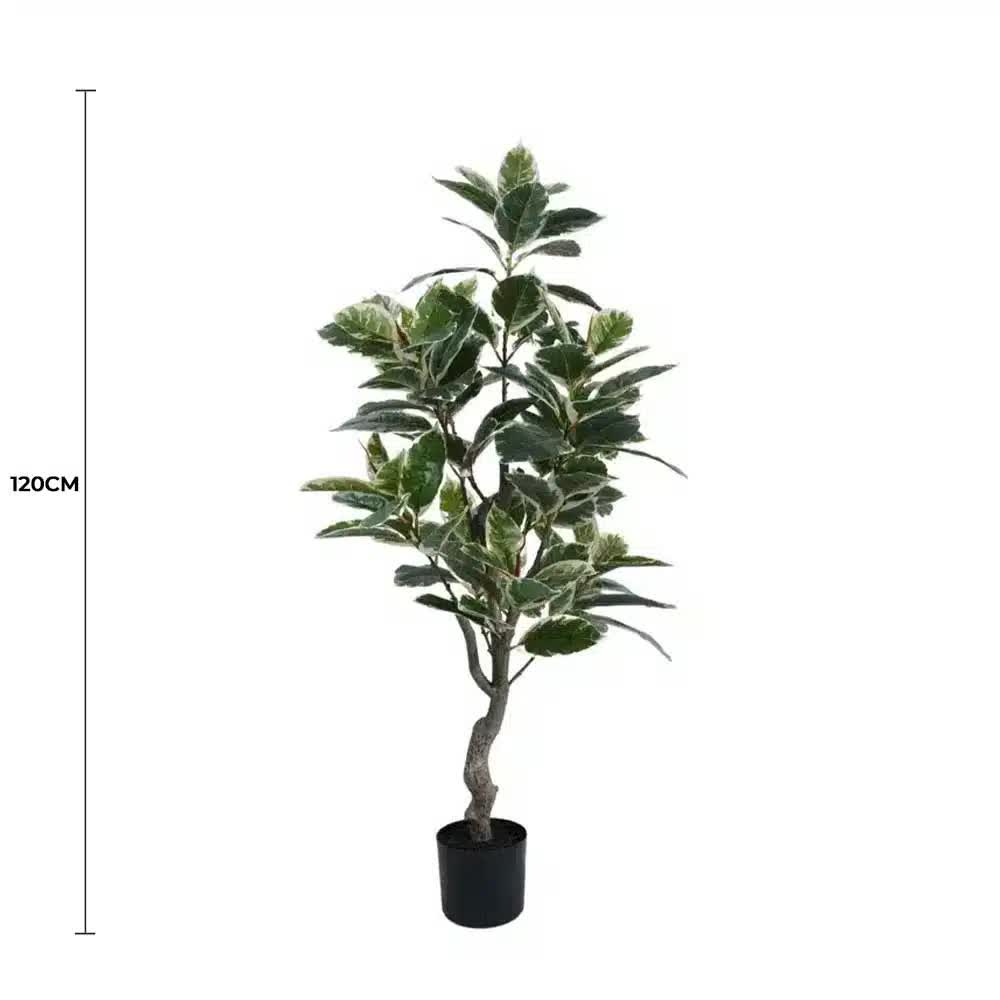Artificial bushy variegated Ficus tree by Faux Flora, 120cm UV resistant Rubber Tree for gym and fitness decor.