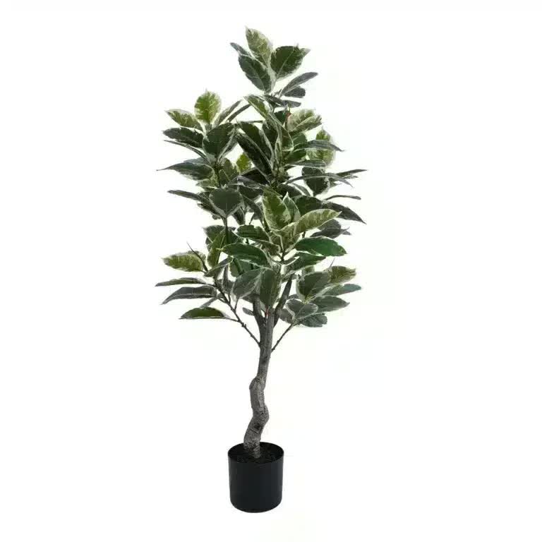 Artificial bushy variegated ficus tree by Faux Flora, 120cm tall, UV resistant, suitable for indoor and outdoor gym or fitness spaces.