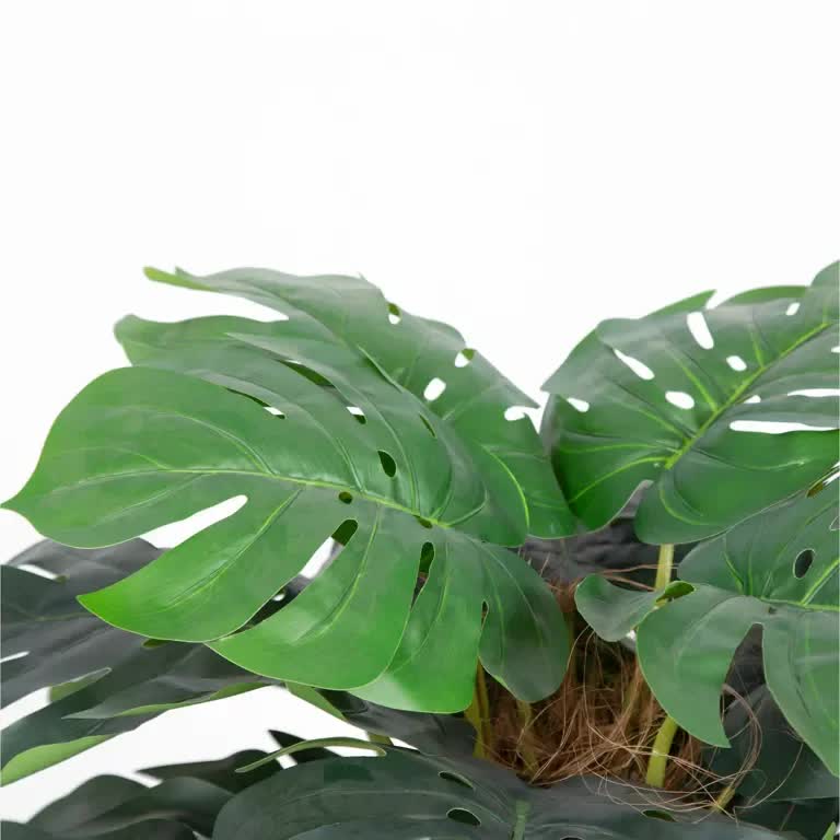 Artificial Monstera Deliciosa tree by Faux Flora, 100cm tall, lush green leaves, ideal for home and garden decor.