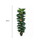 Artificial Monstera Adansonii Money Plant With Decorative Pot (UV Resistant) 180cm
