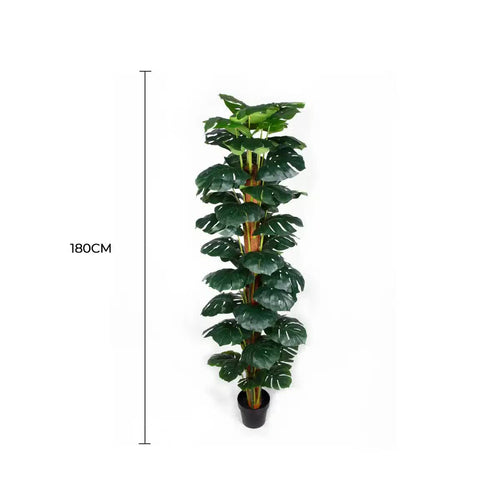 Artificial Monstera Adansonii Money Plant With Decorative Pot (UV Resistant) 180cm