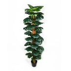 Artificial Monstera Adansonii Money Plant With Decorative Pot (UV Resistant) 180cm