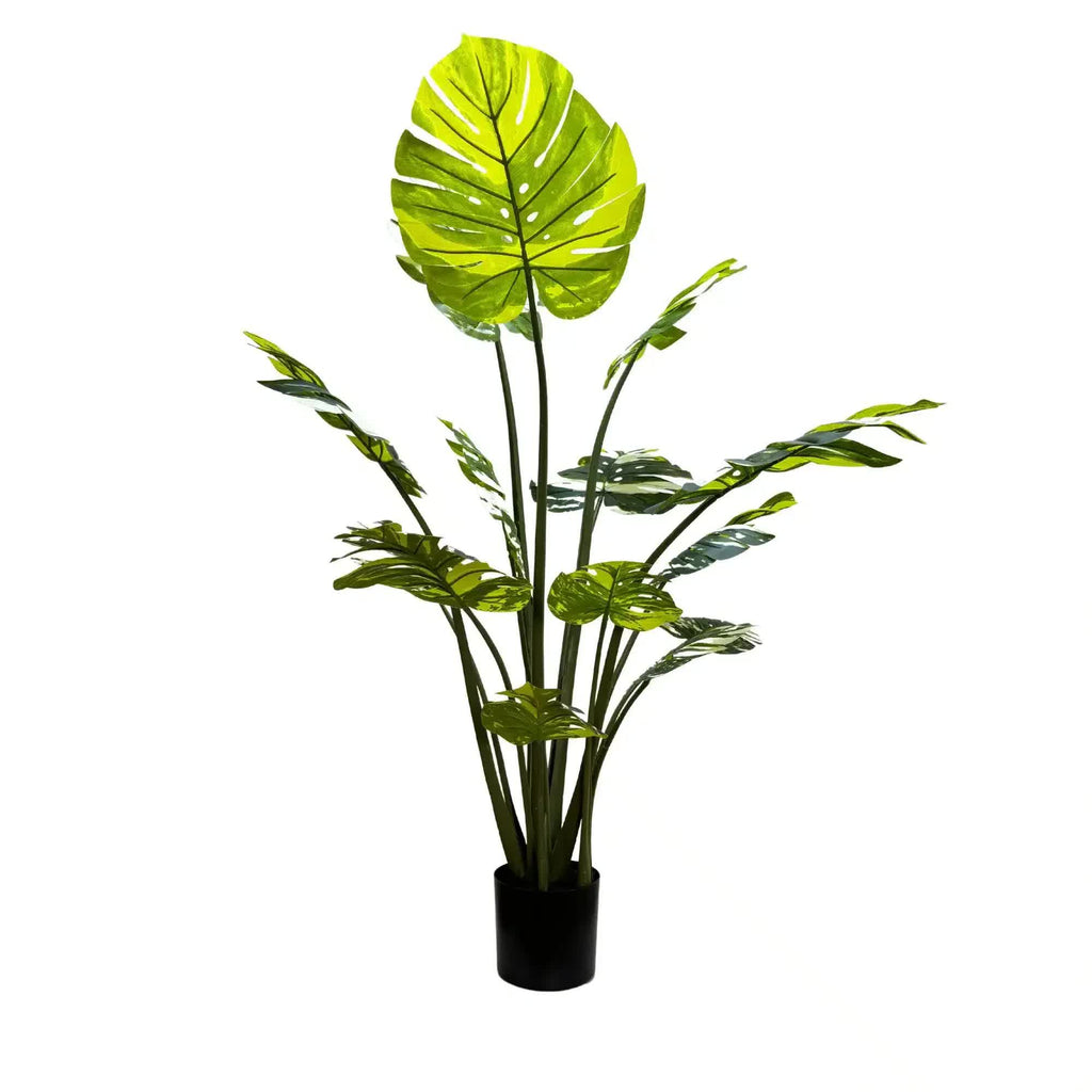 Mixed Tropical Palm Statement Tree 150cm