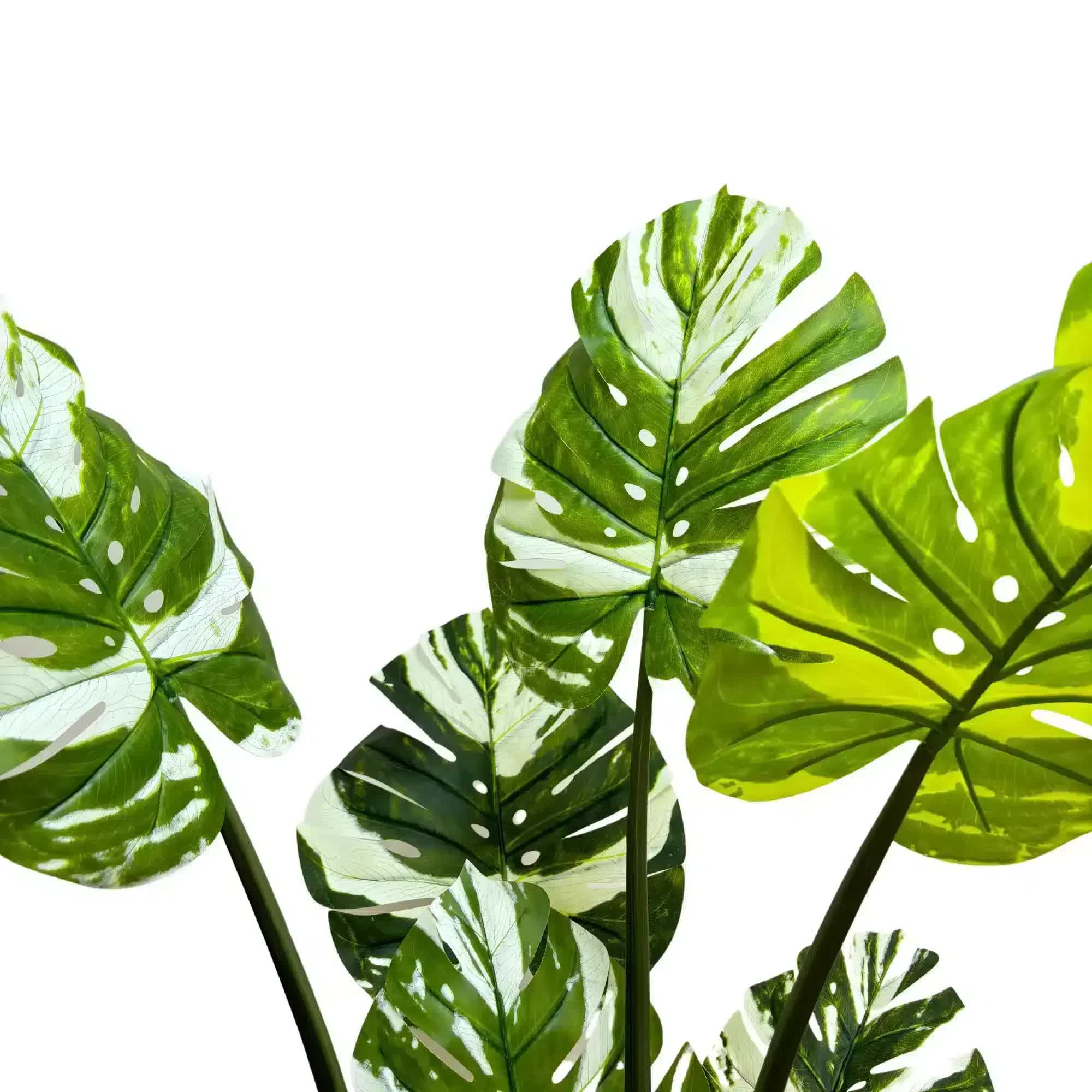 Premium Artificial Potted Monstera Albo Plant 150cm