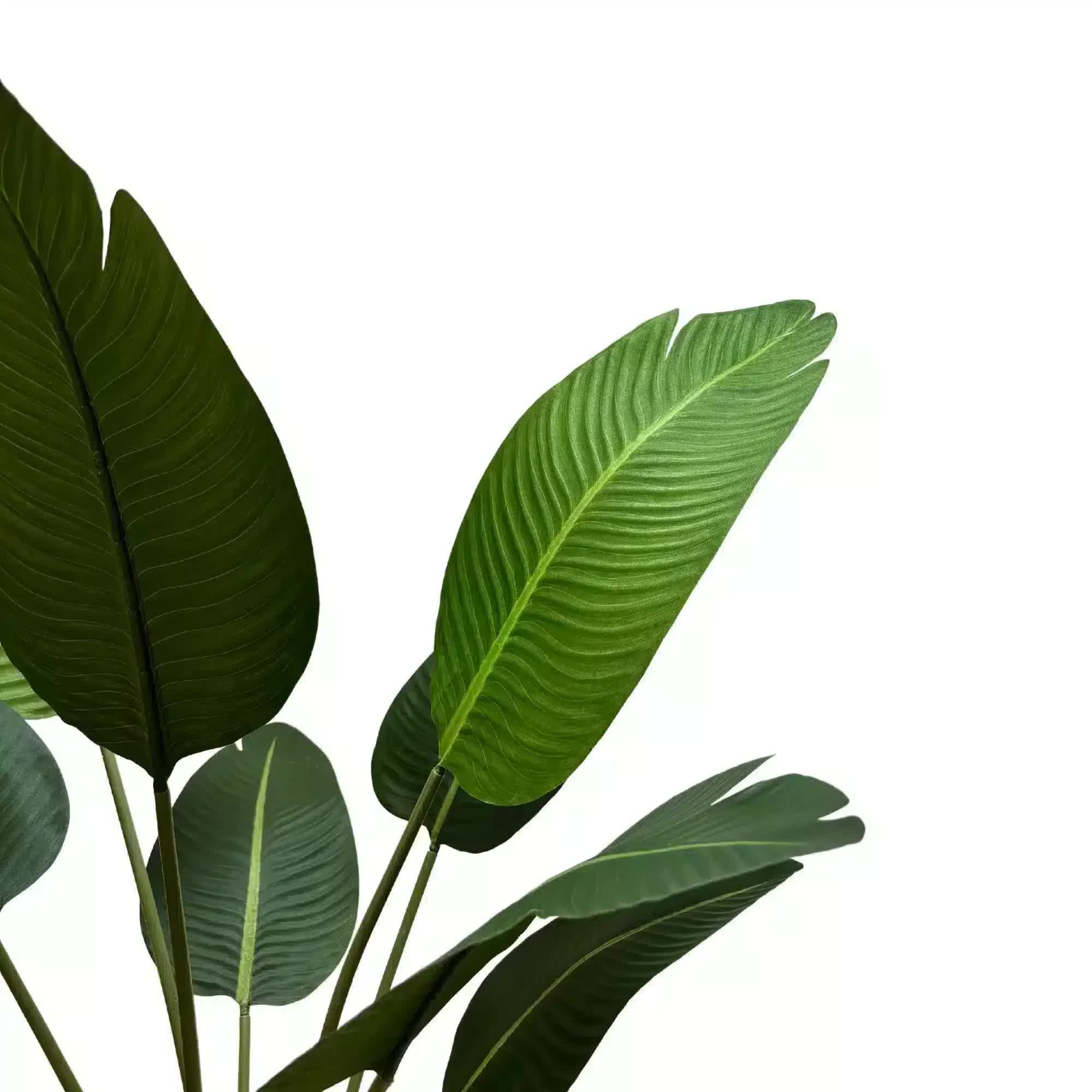 Artificial Travellers Palm in pot by Faux Flora, 120cm tall, realistic banana palm tree for home or garden decor.