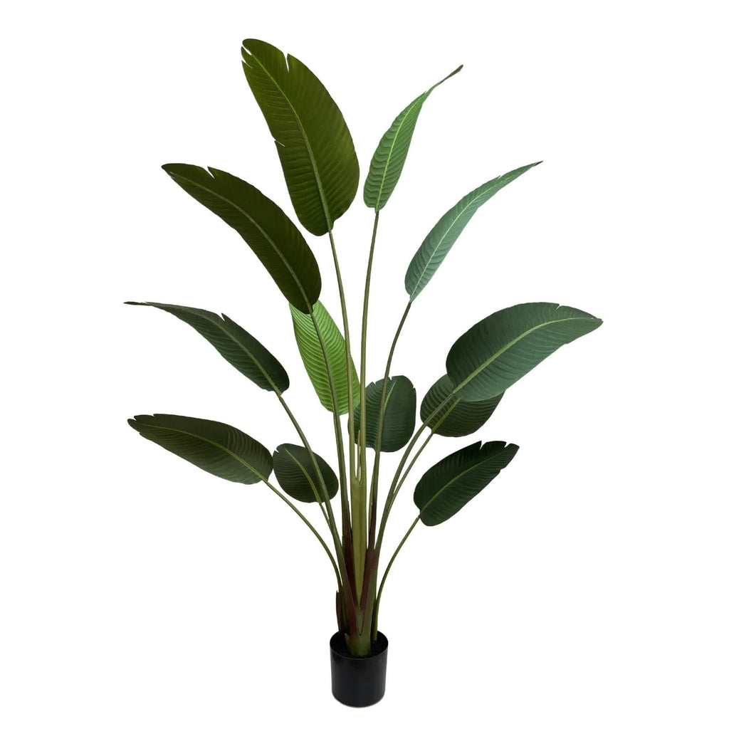 Artificial Travellers Palm tree in a pot, 180cm tall, Faux Flora, ideal for home and garden decor.