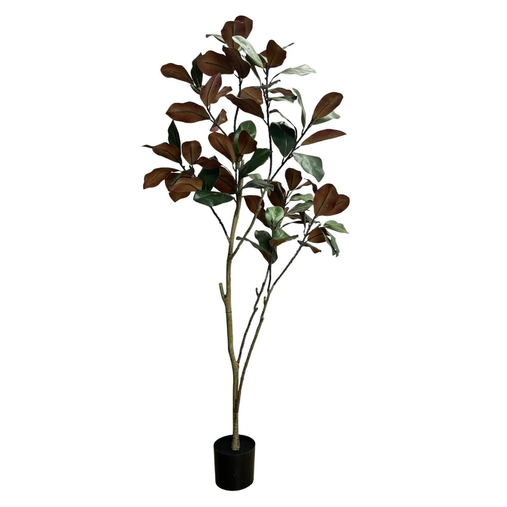 Premium Artificial Magnolia Tree 180cm