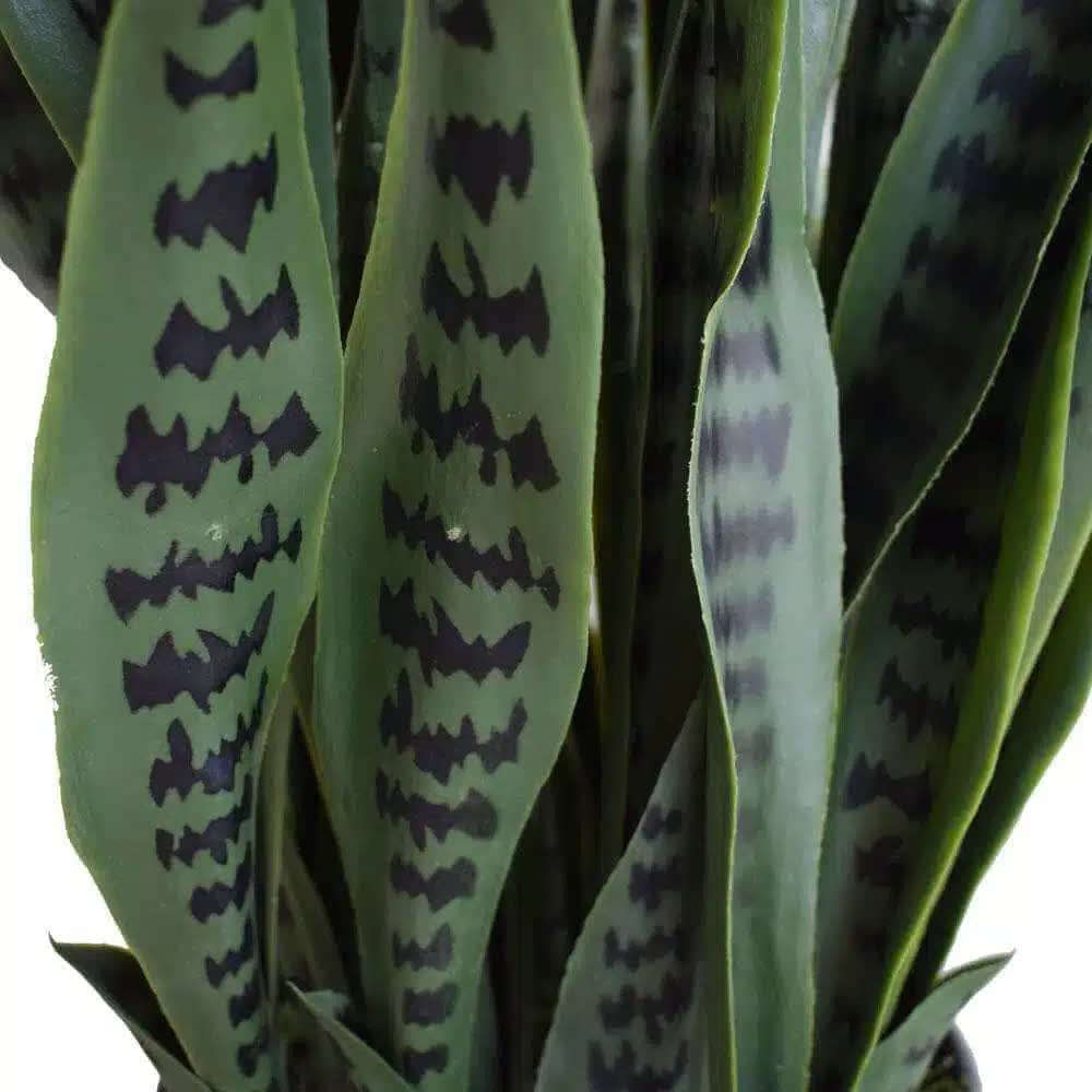 Artificial snake plant Sansevieria by Faux Flora, UV resistant, 90cm tall, potted indoor or outdoor decorative plant.