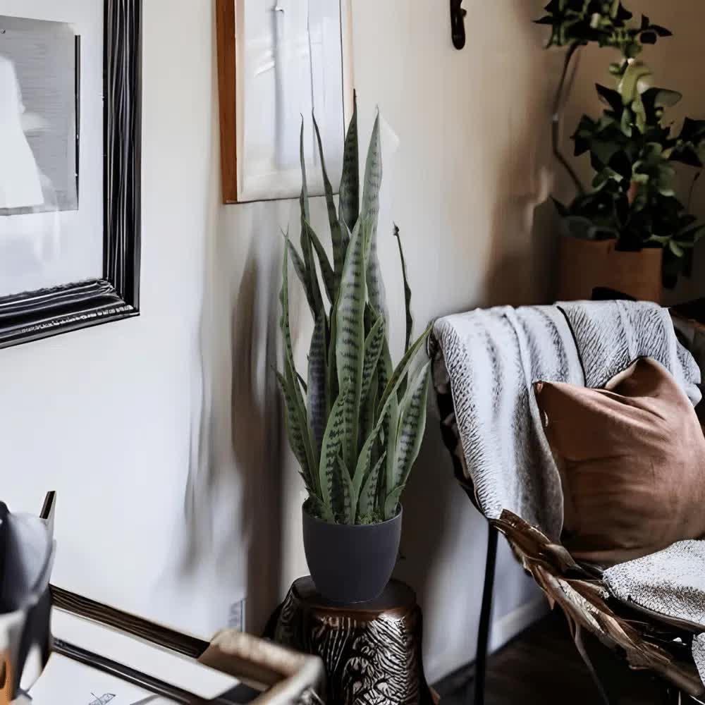Artificial snake plant Sansevieria by Faux Flora, UV resistant, 90cm tall, potted indoor plant for home and garden decor