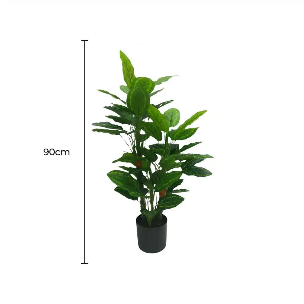 Potted plant with a measurement label indicating 90cm on a white background
