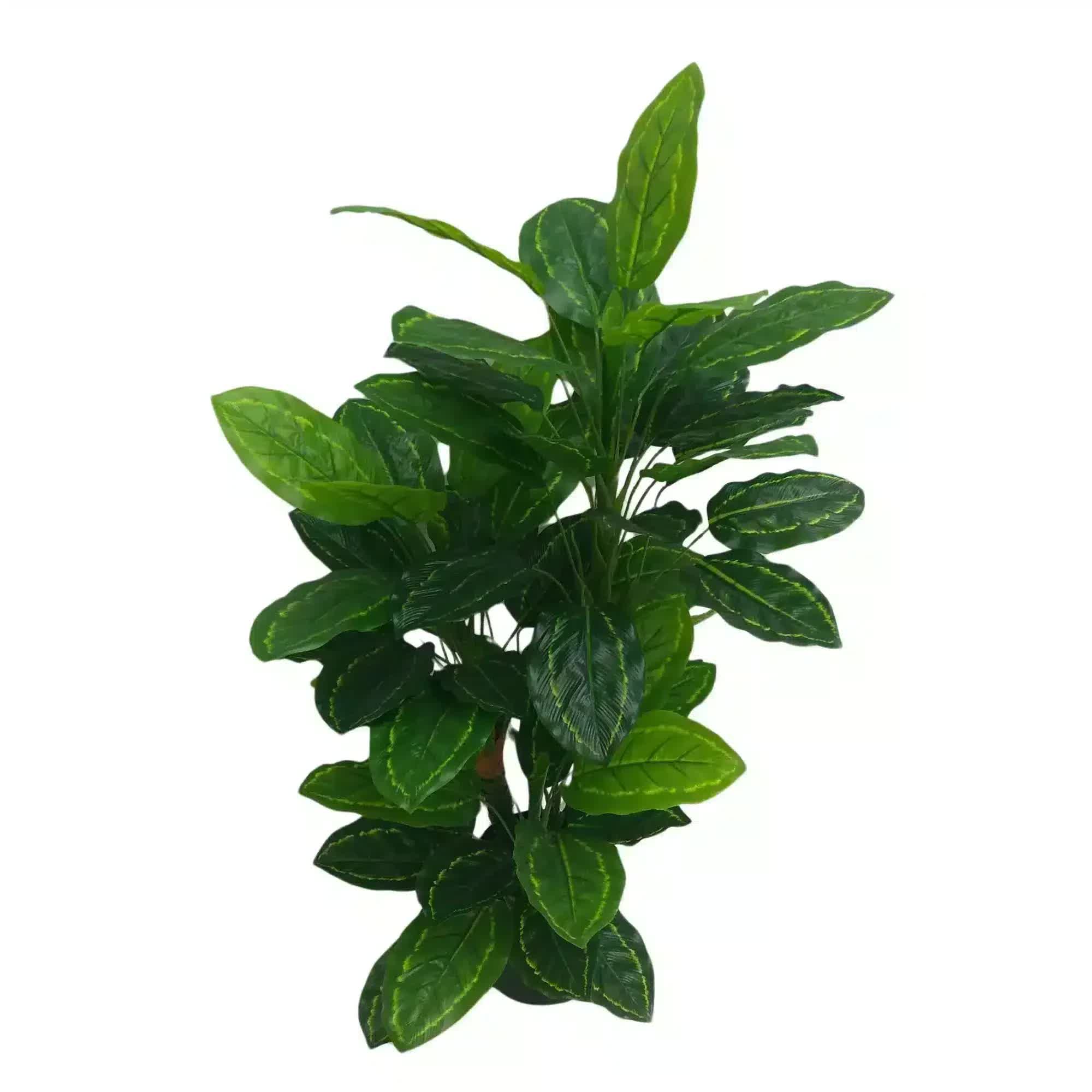 Artificial green plant on a white background