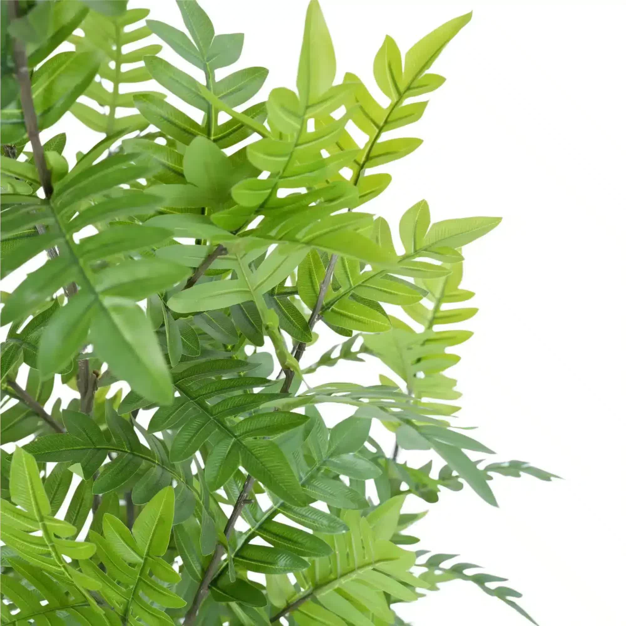 Artificial Bracken Palm Tree (UV Resistant) 180cm - Faux Flora