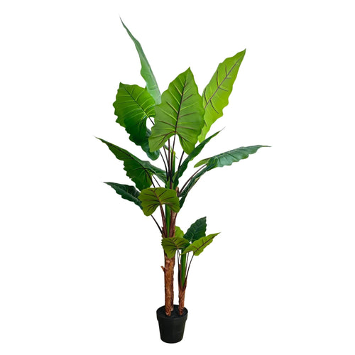 Nearly Natural Taro Elephant Ear Palm artificial tree by Faux Flora, 170cm tall with lush green leaves, ideal for home and garden decor