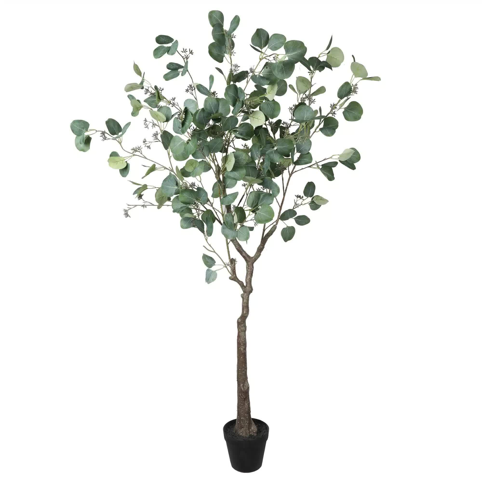 Artificial eucalyptus tree in a pot on a white background