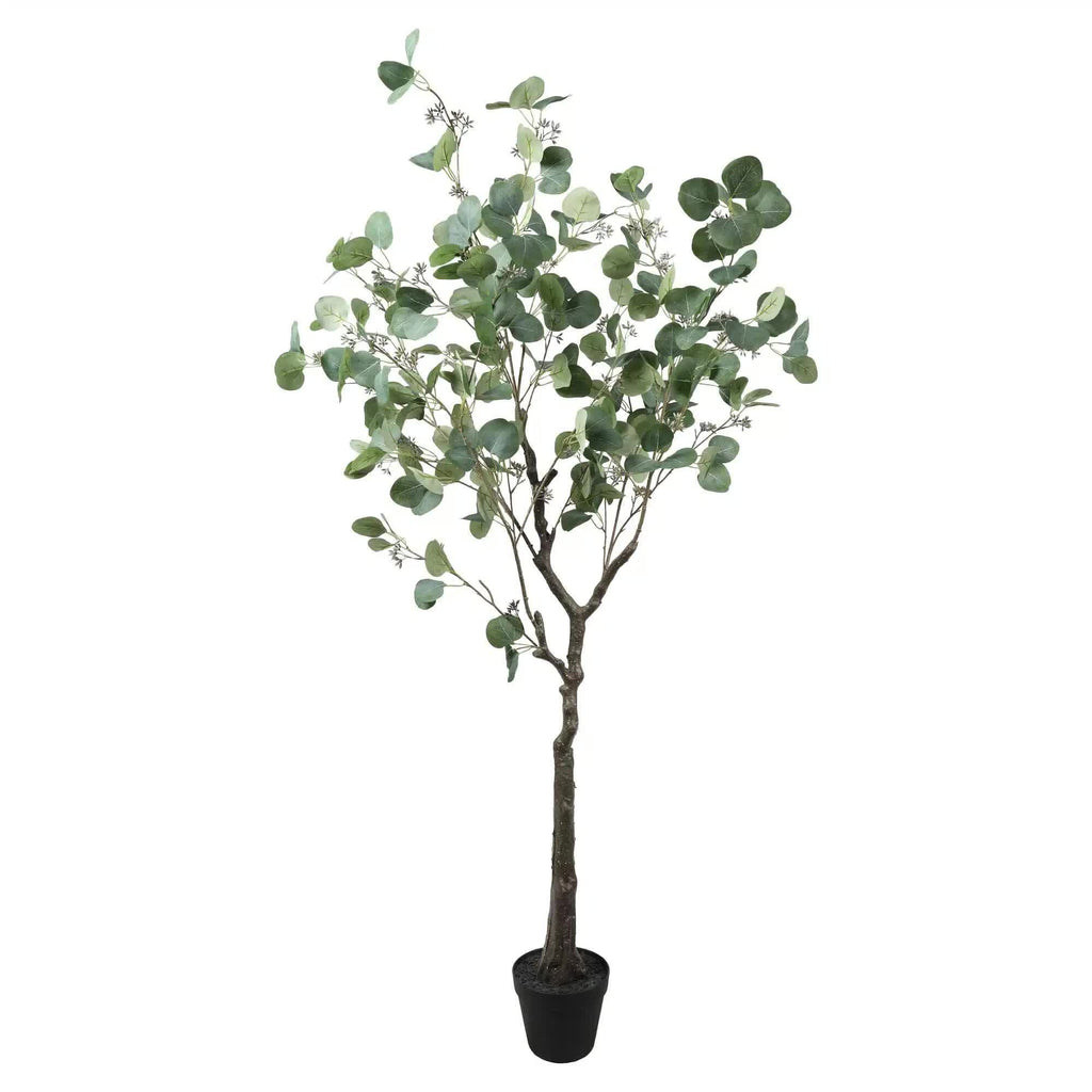 Artificial eucalyptus tree in a pot on a white background