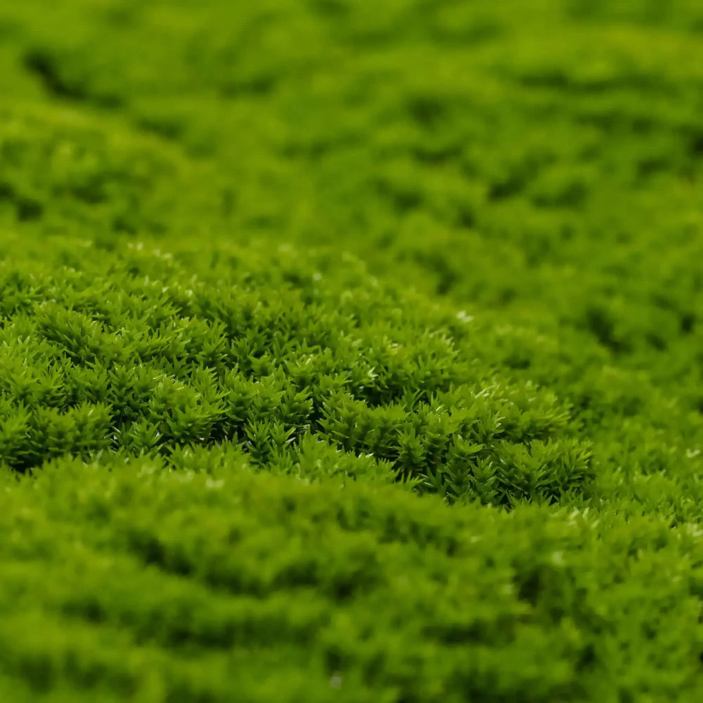 Fresh natural green artificial moss wall panel by Faux Flora, UV resistant, 100cm x 100cm for home and garden decor.
