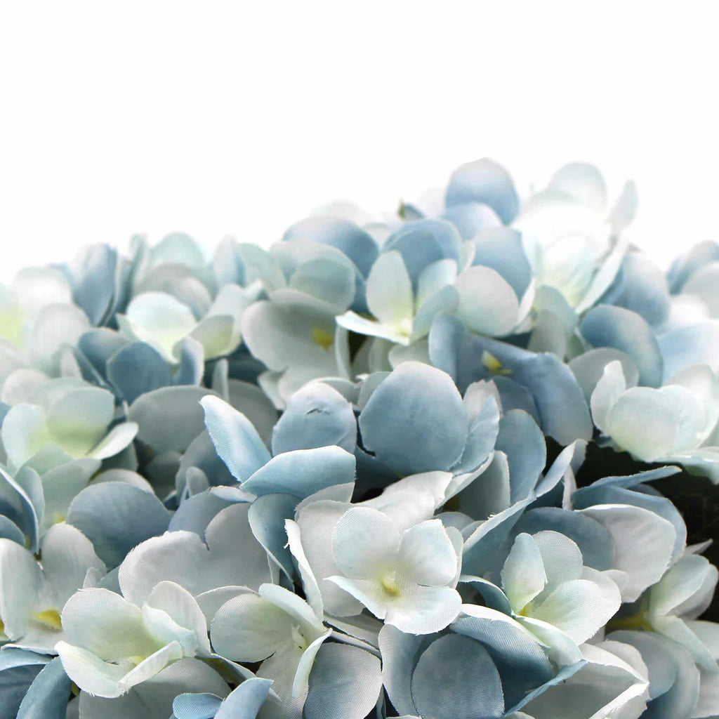 Close-up of light blue and white flowers with a blurred background