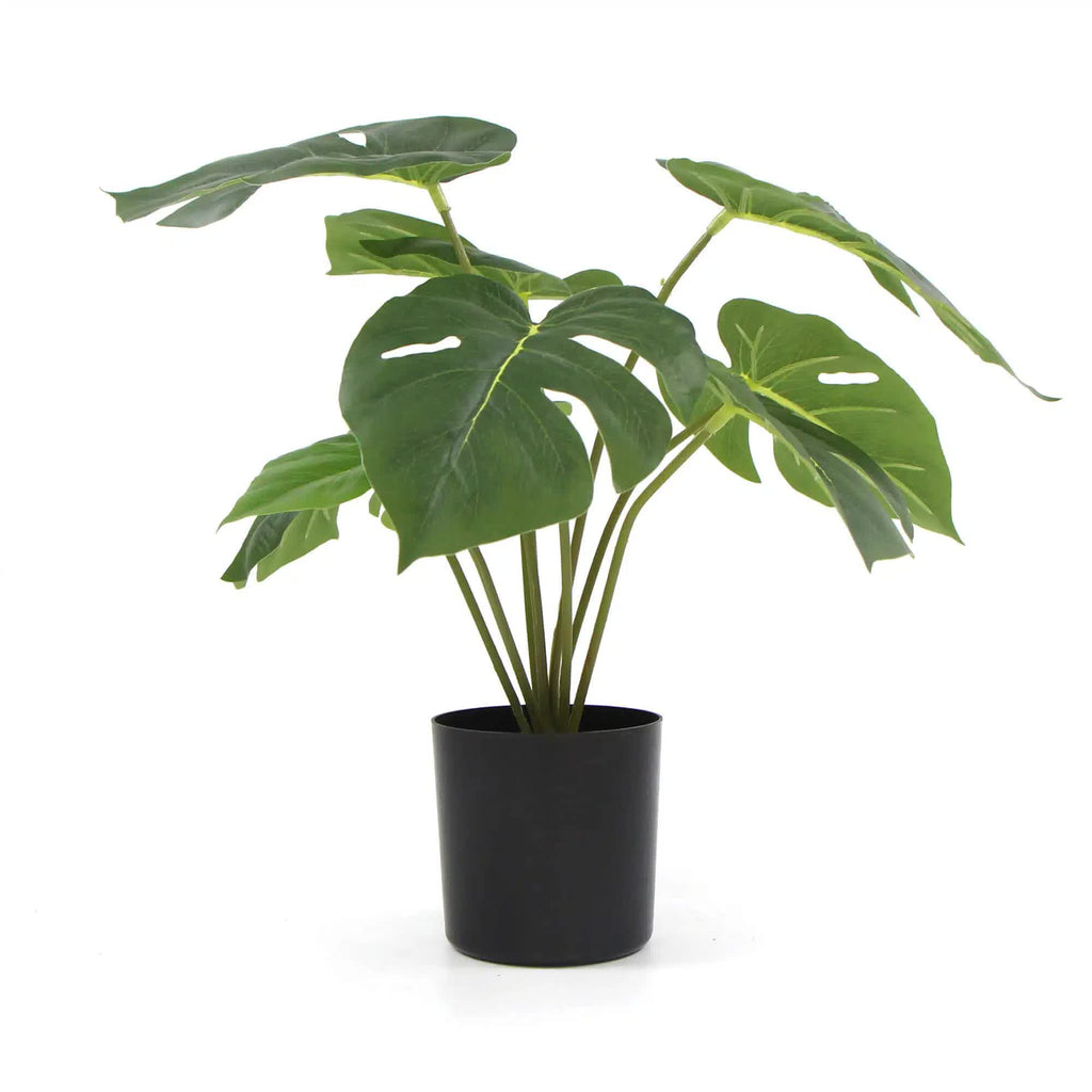 Real-Touch Potted Split Philodendron 60cm