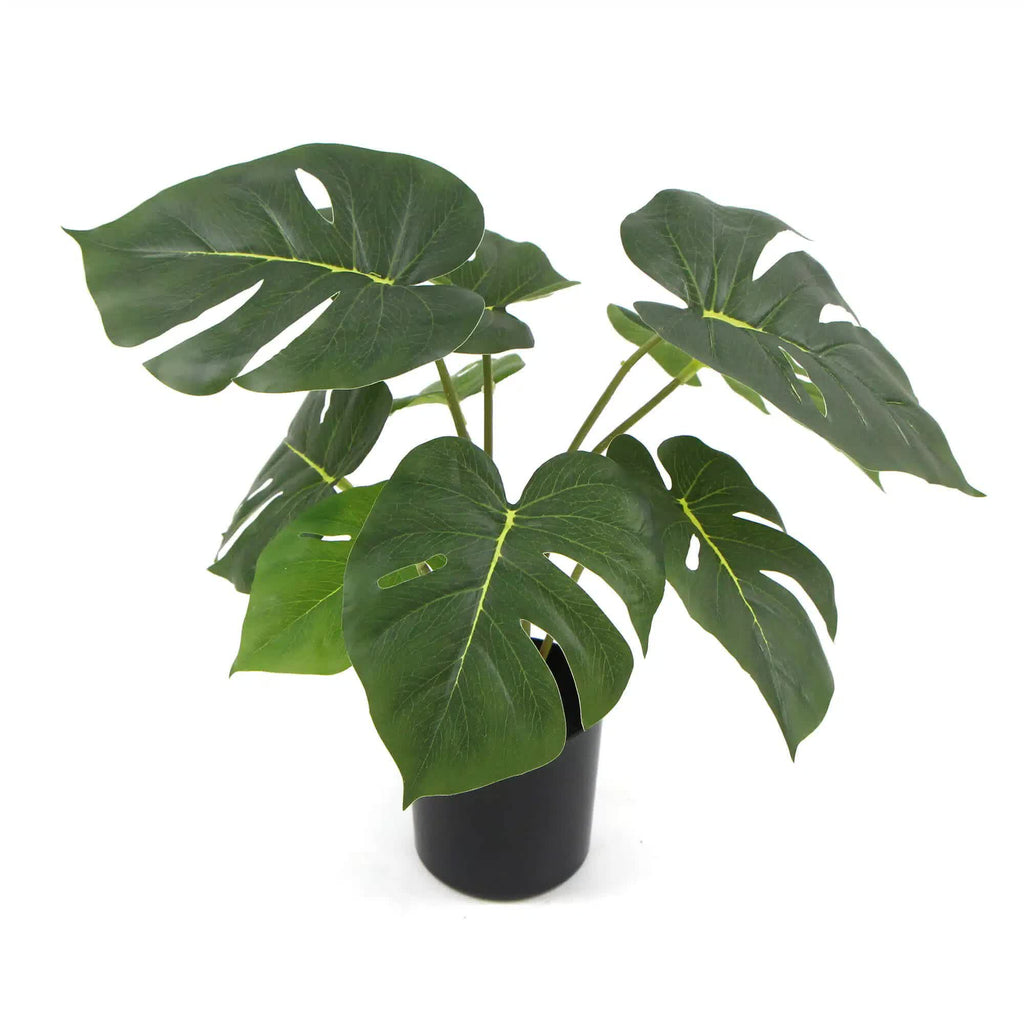 Real-Touch Potted Split Philodendron 60cm
