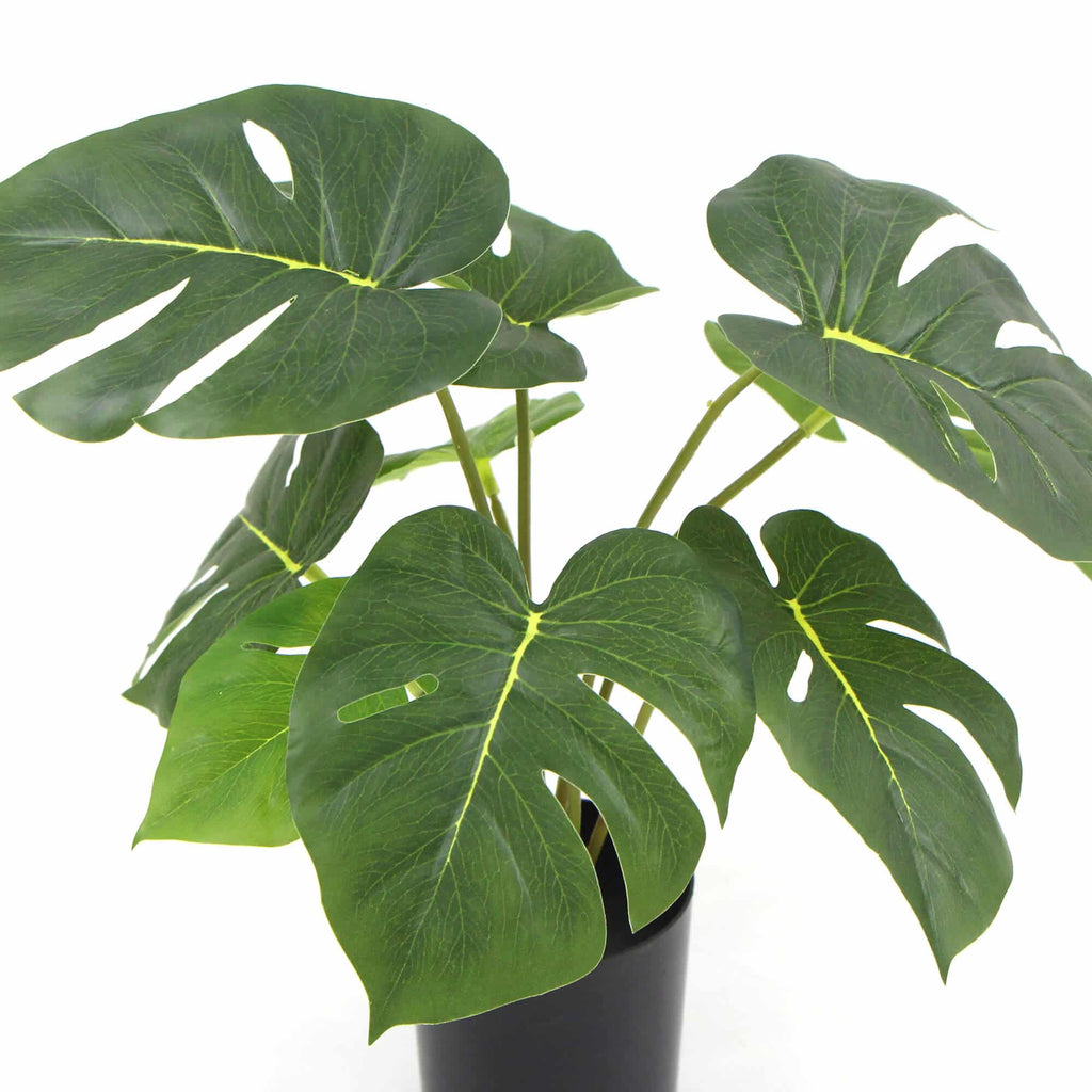 Real-Touch Potted Split Philodendron 60cm