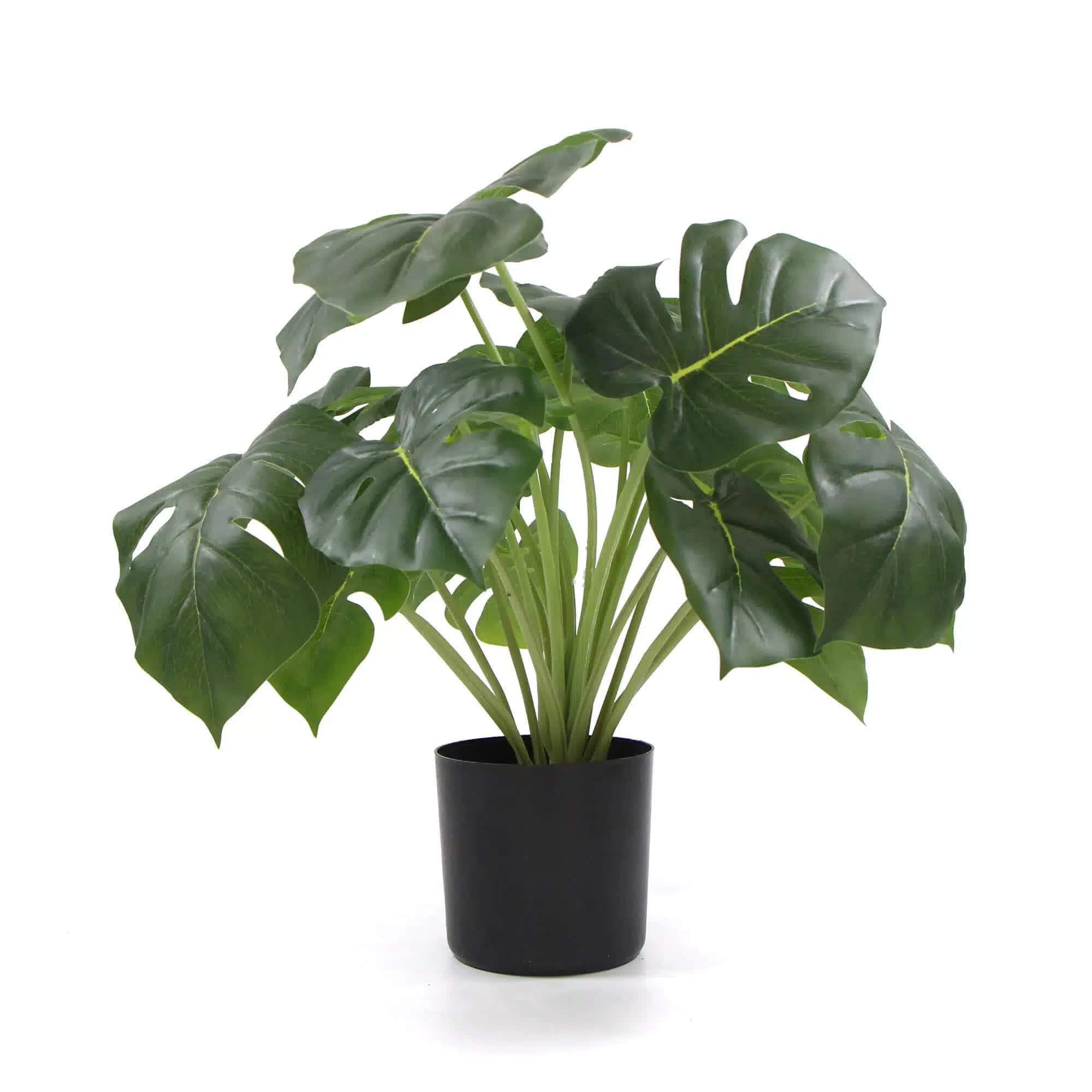 Dense potted artificial Monstera Deliciosa plant with real touch leaves, 50cm tall, from Faux Flora for home and garden decor.