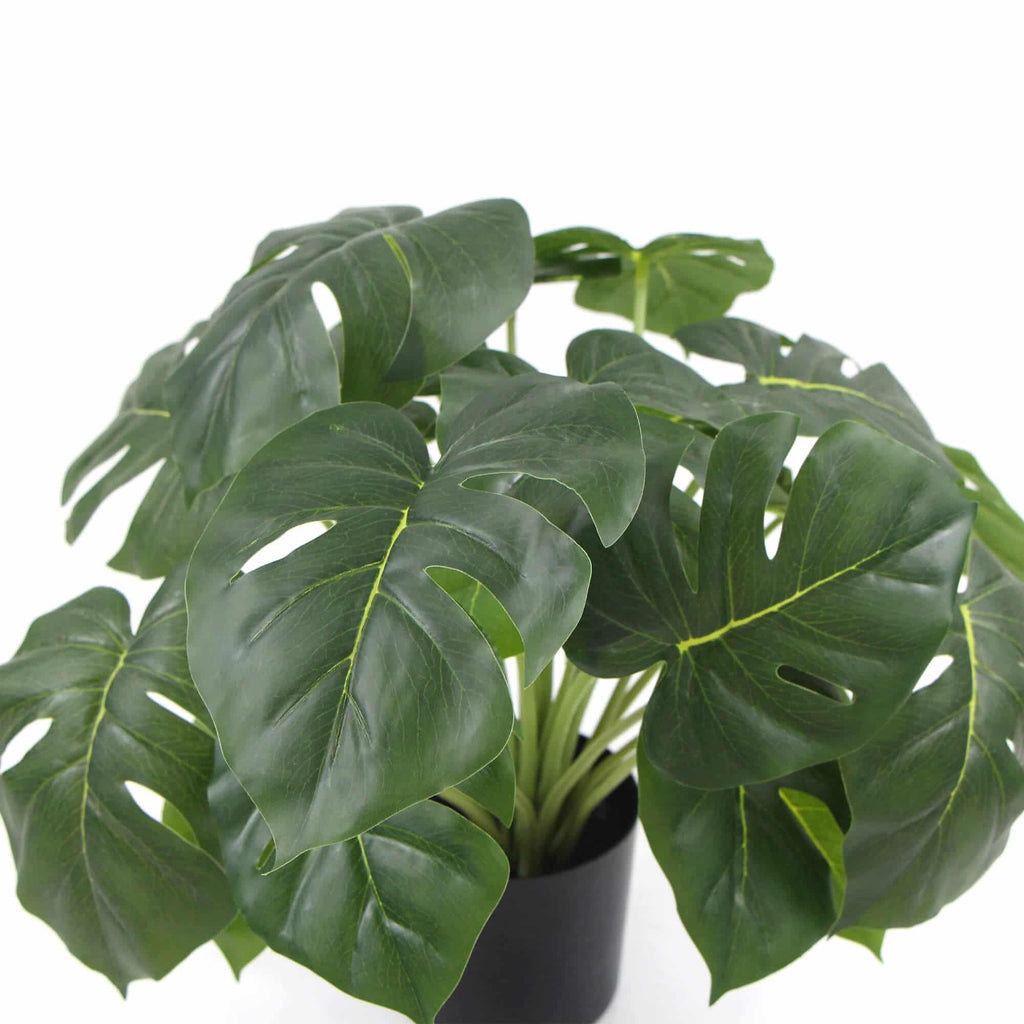 Artificial Monstera Deliciosa potted plant with realistic touch leaves, 50cm tall, ideal for home and garden decor by Faux Flora.