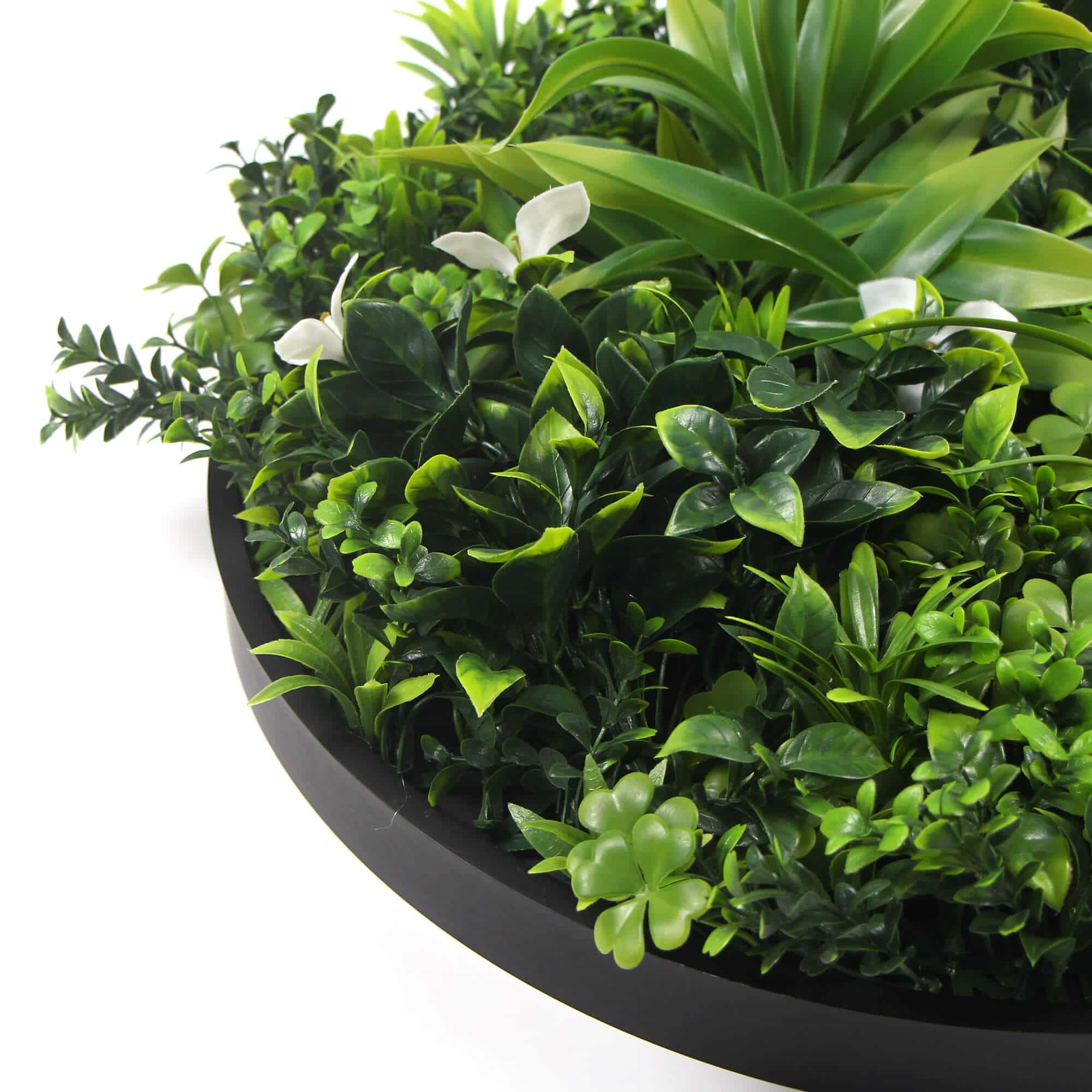 Slimline Flowering White Artificial Green Wall Disc (UV Resistant) (Black Frame) 75cm
