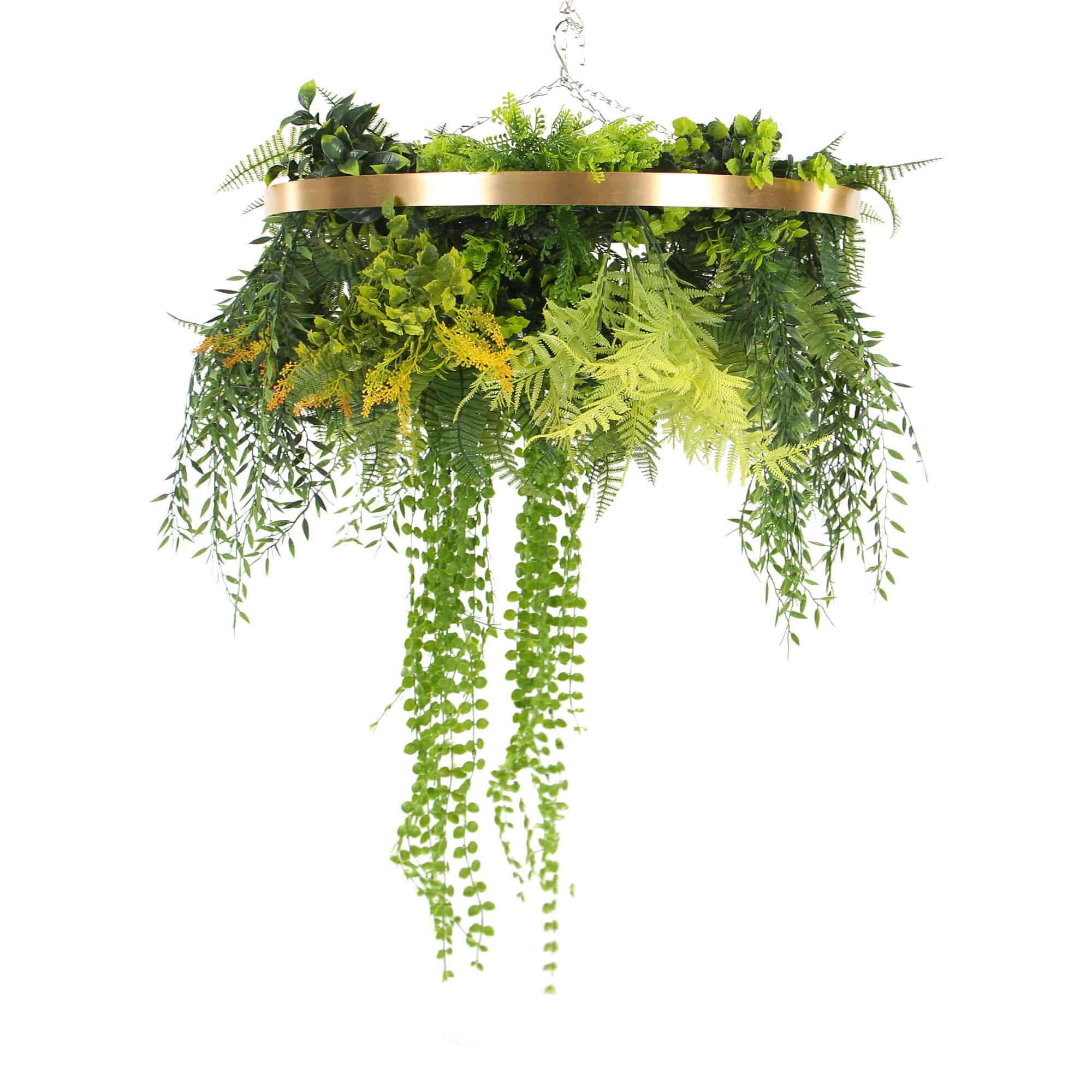 Hanging plant arrangement with a gold circular frame on a white background