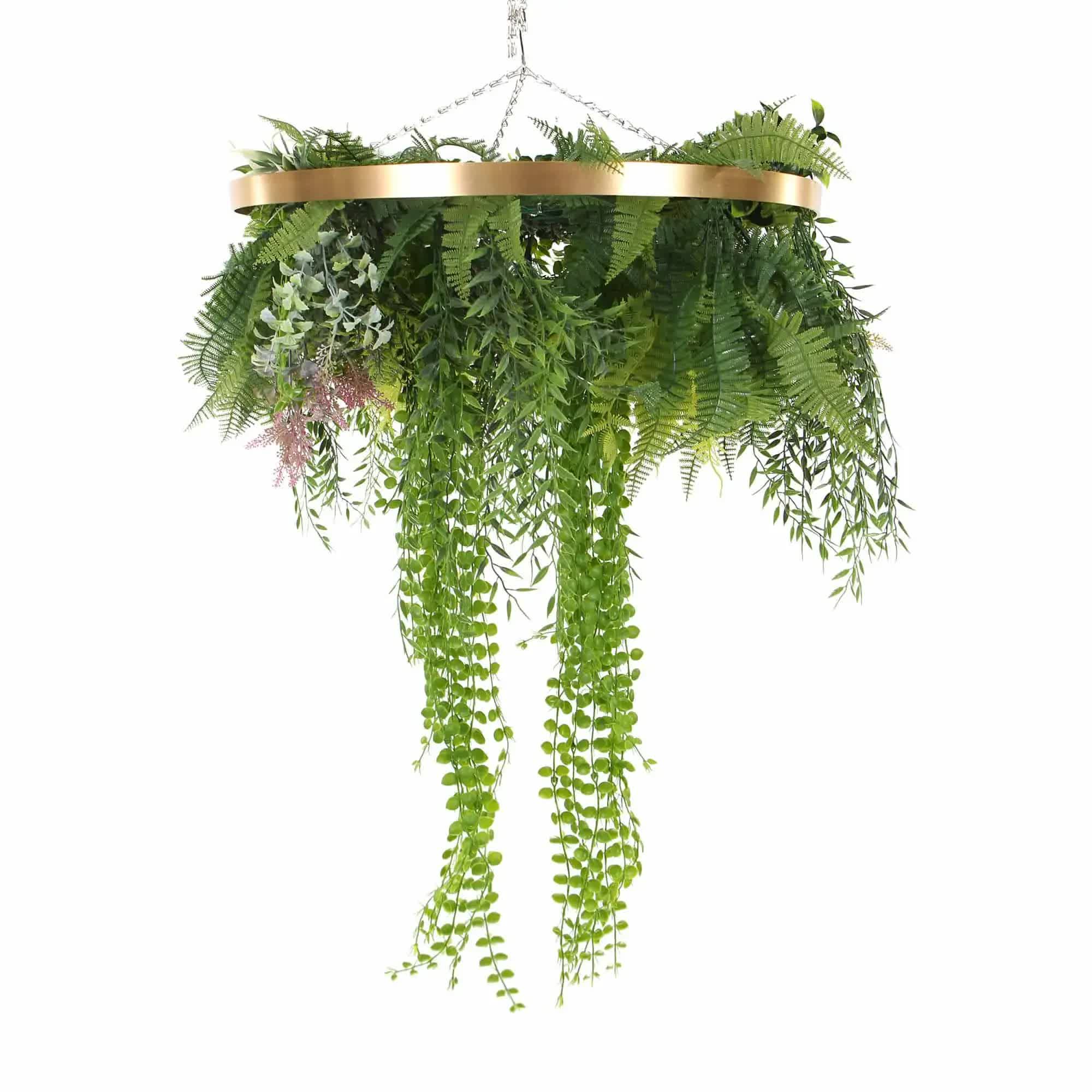 Hanging plant chandelier with green leaves and gold frame on a white background