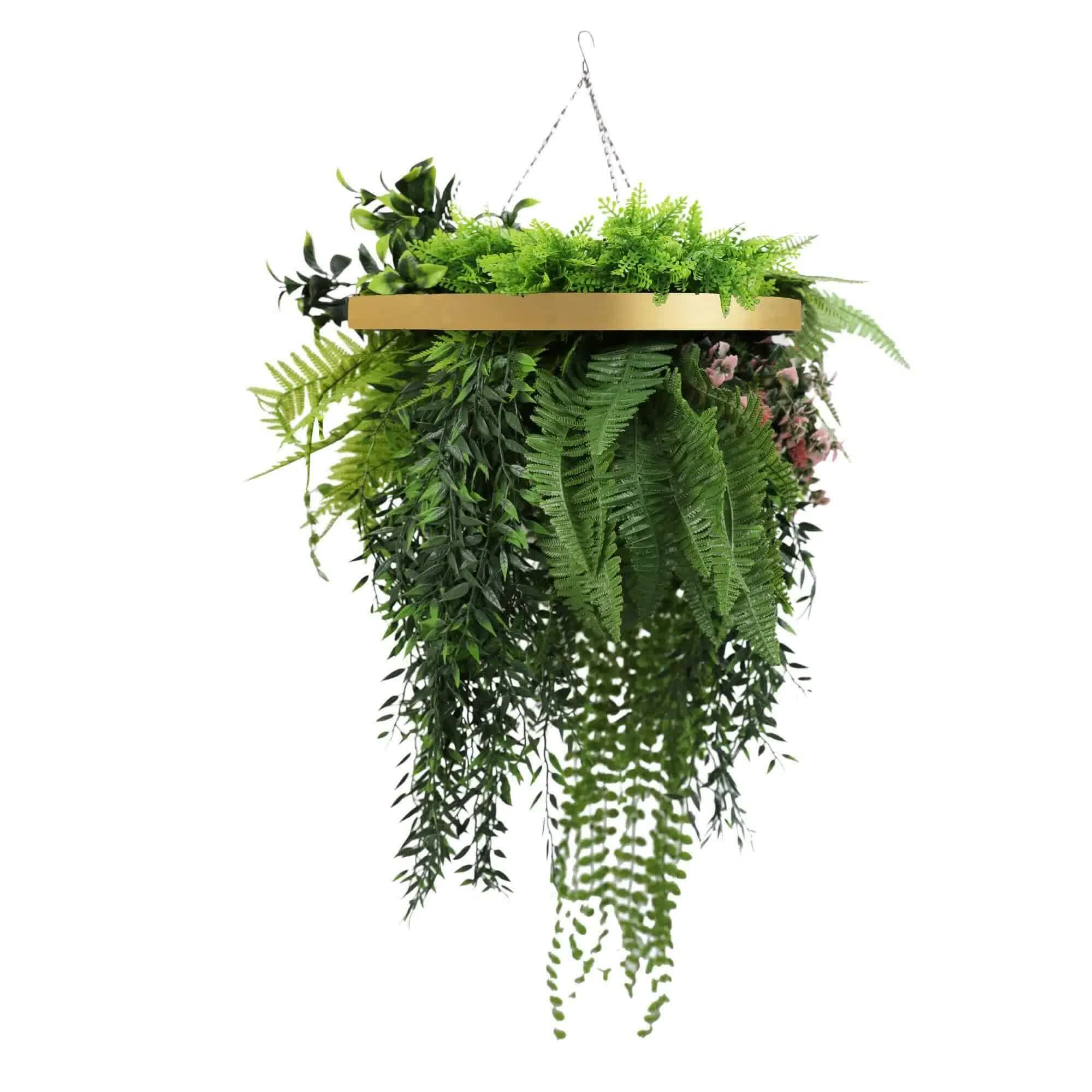 Hanging green fern plant with a gold metal frame on a white background