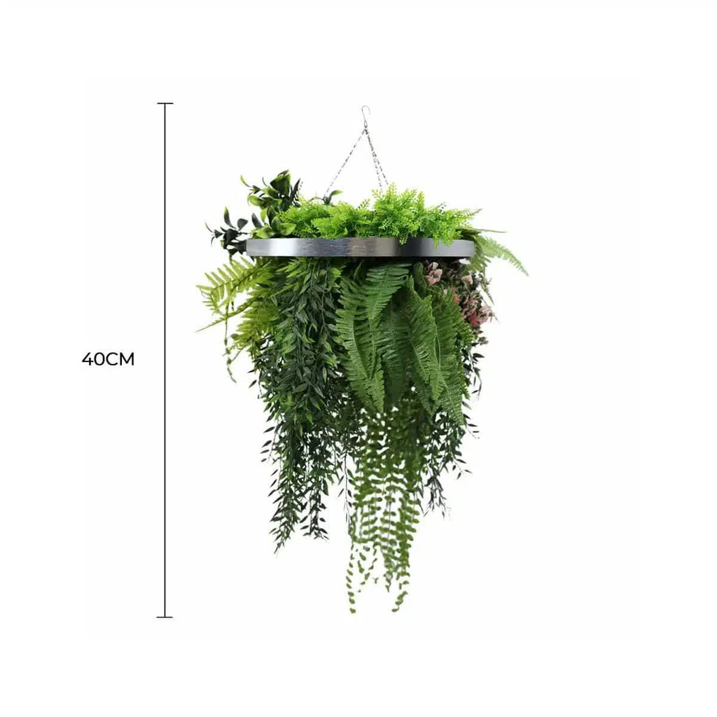 Hanging green fern plant with a 40cm label on a white background