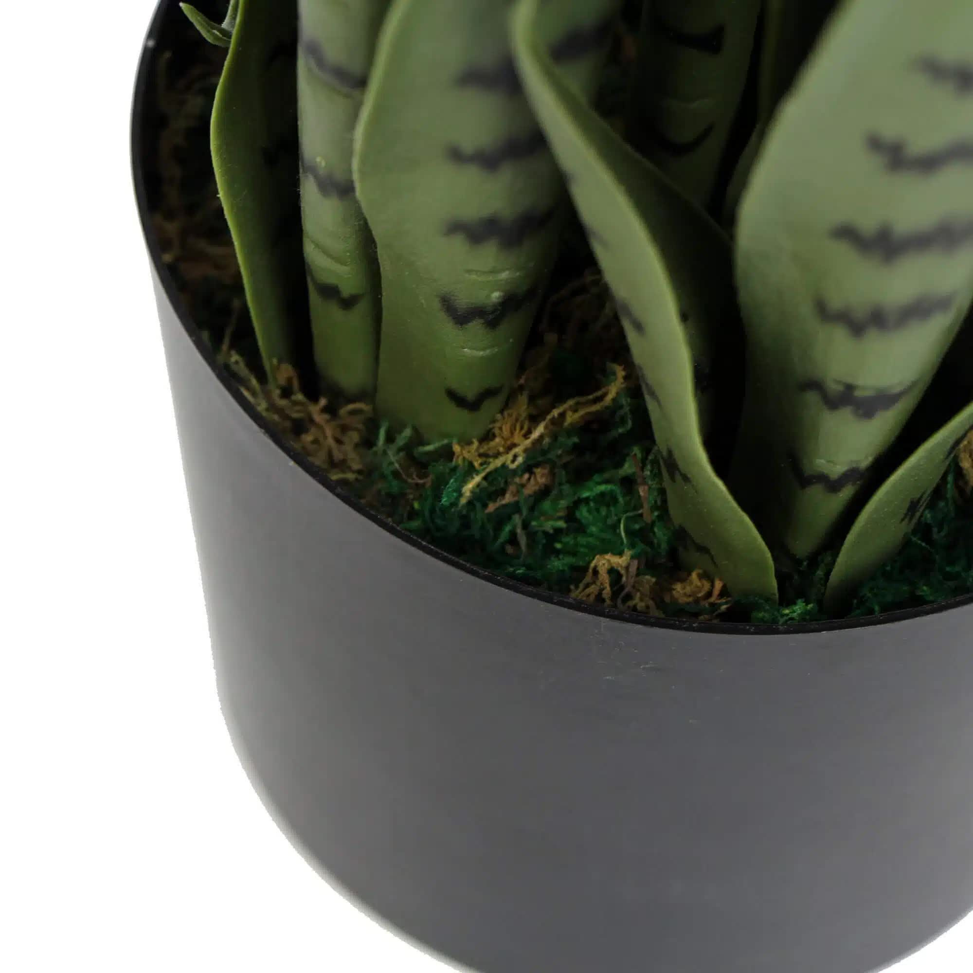 Artificial Snake Plant Sansevieria by Faux Flora, 85cm tall, UV resistant, realistic faux tree for home and garden decor.
