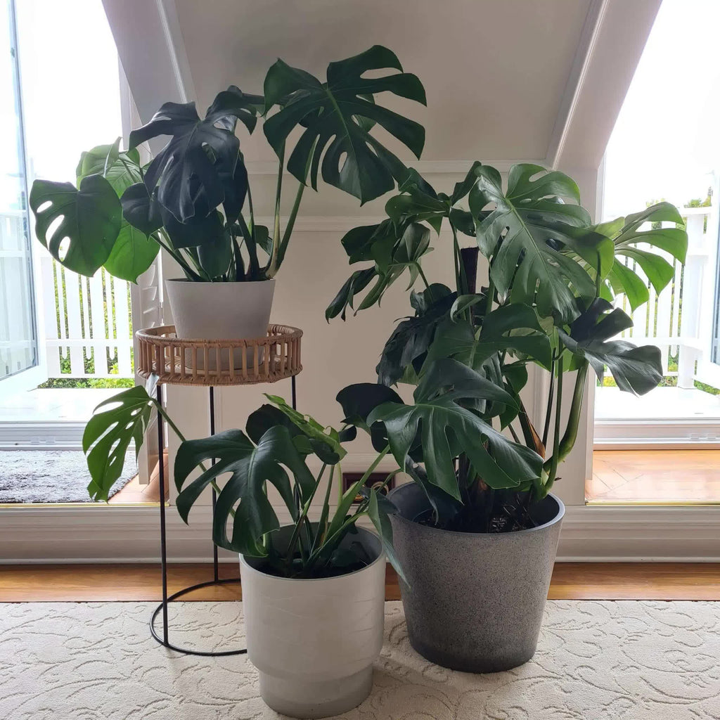 Eco-Friendly Imitation Stone Grey Pot 40cm