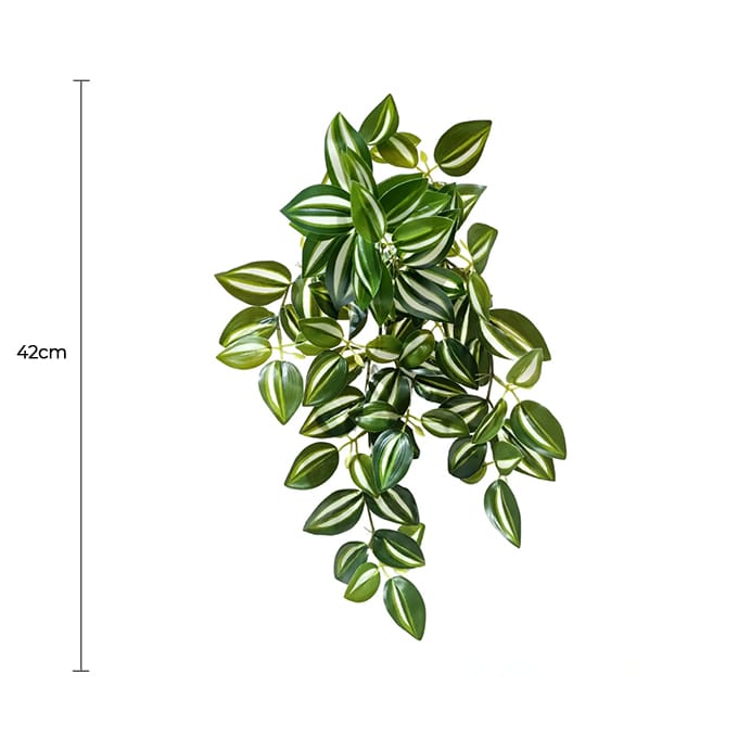 Hanging Zebrina Vine 42cm