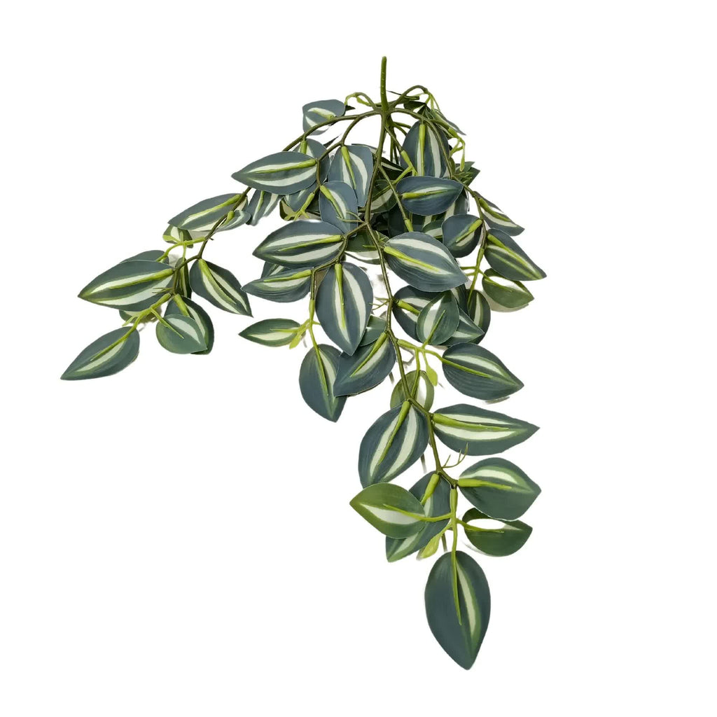 Hanging Zebrina Vine 42cm