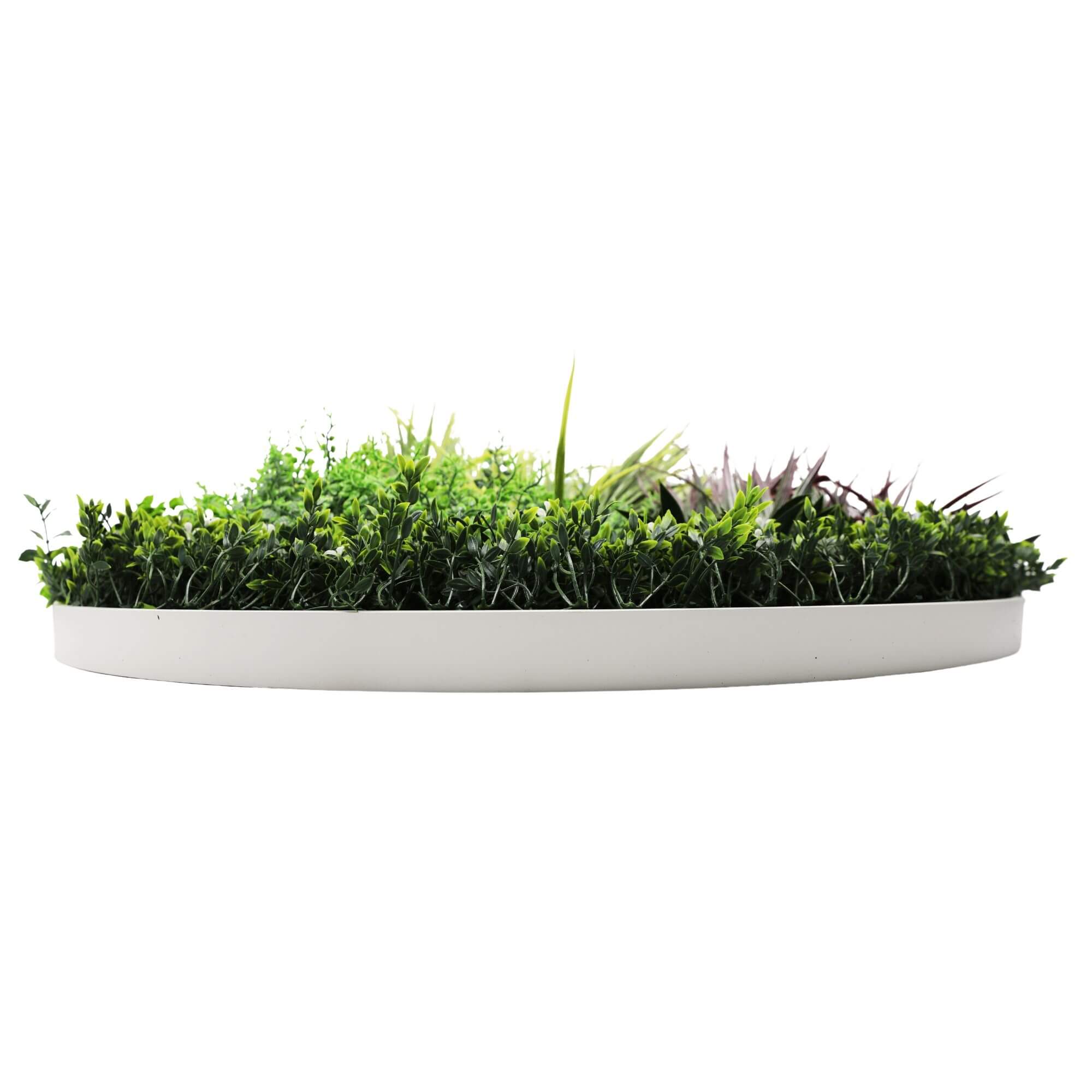 Artificial wall disc art featuring lush grassy fern design in white, UV resistant for indoor or outdoor home decor by Faux Flora.