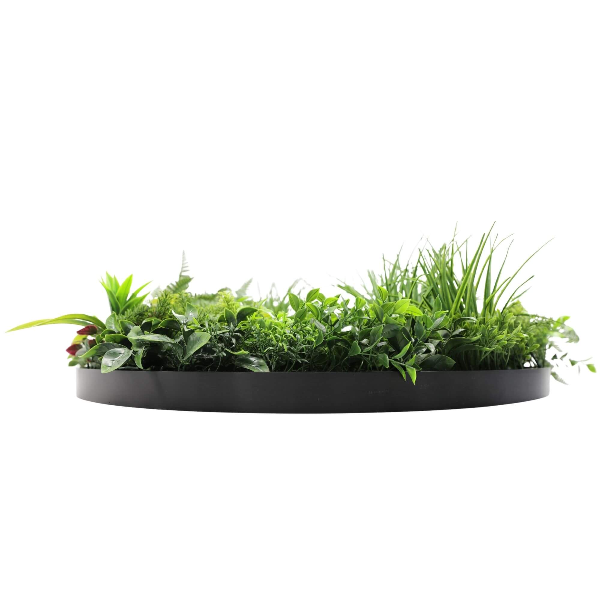 Black 80cm UV-resistant artificial wall disc fern plant by Faux Flora for home and garden decor.