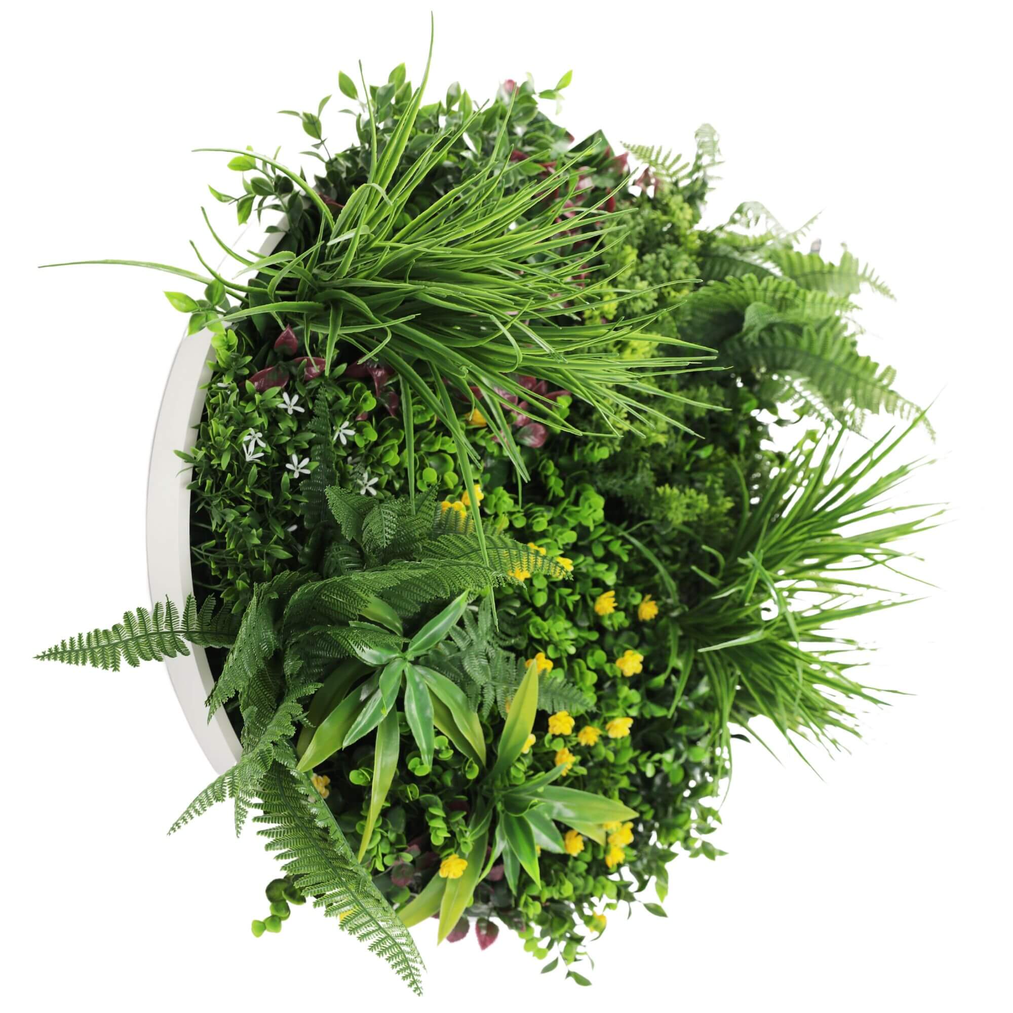 White 60cm artificial wall fern disc art by Faux Flora, UV resistant, ideal for home wall decor in the home and garden.