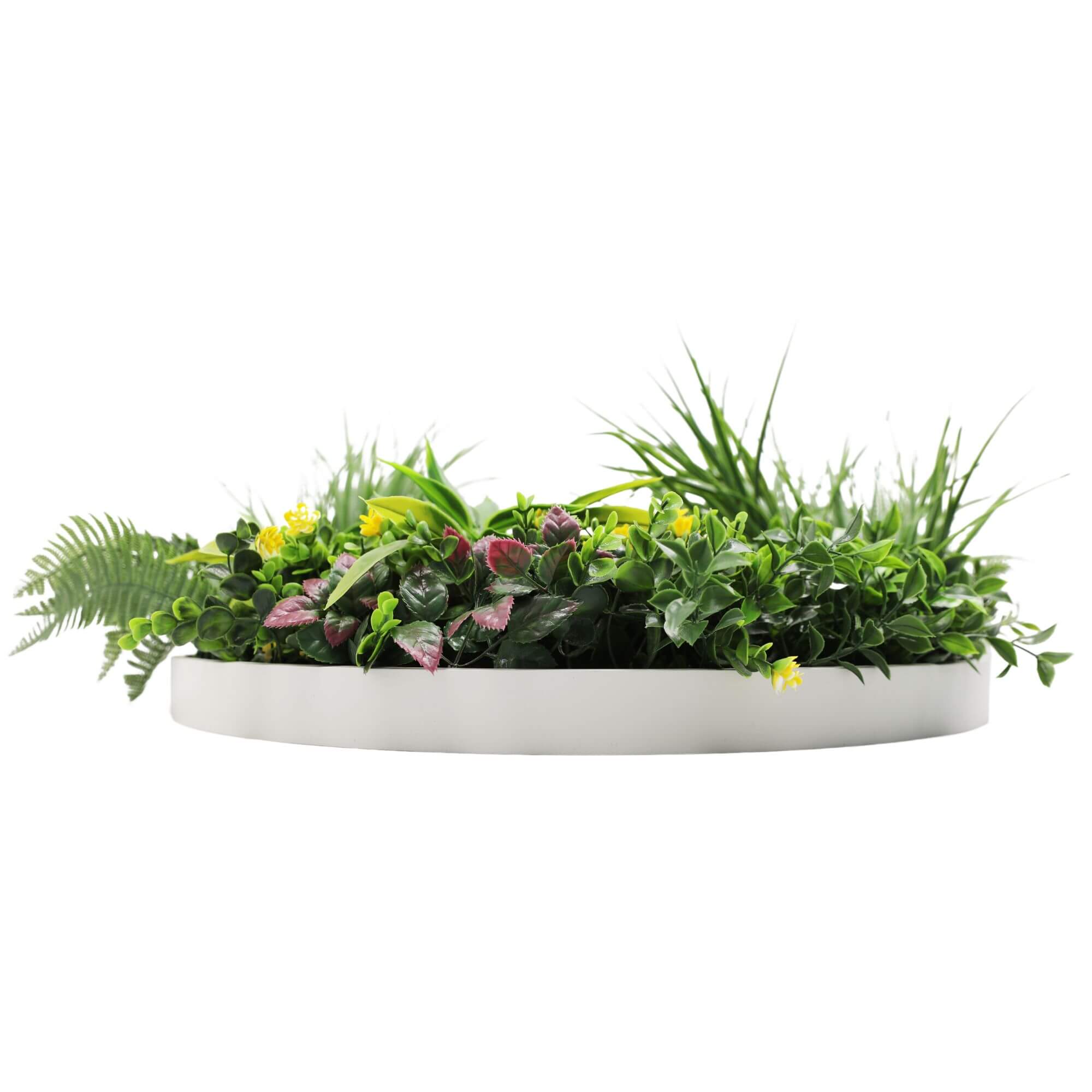 White 60cm artificial wall fern disc art by Faux Flora, UV resistant, ideal for home and garden wall decoration.