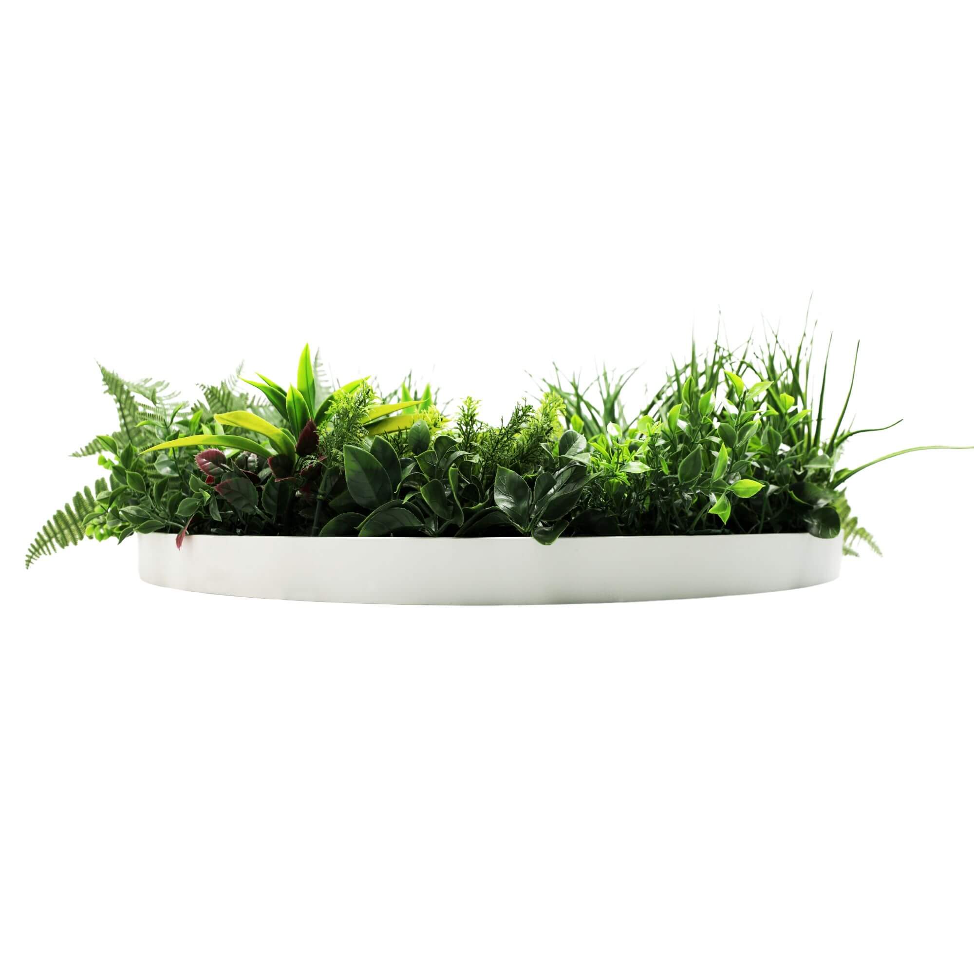 White artificial wall fern disc art by Faux Flora, UV resistant 80cm decorative plant for home and garden wall decor.