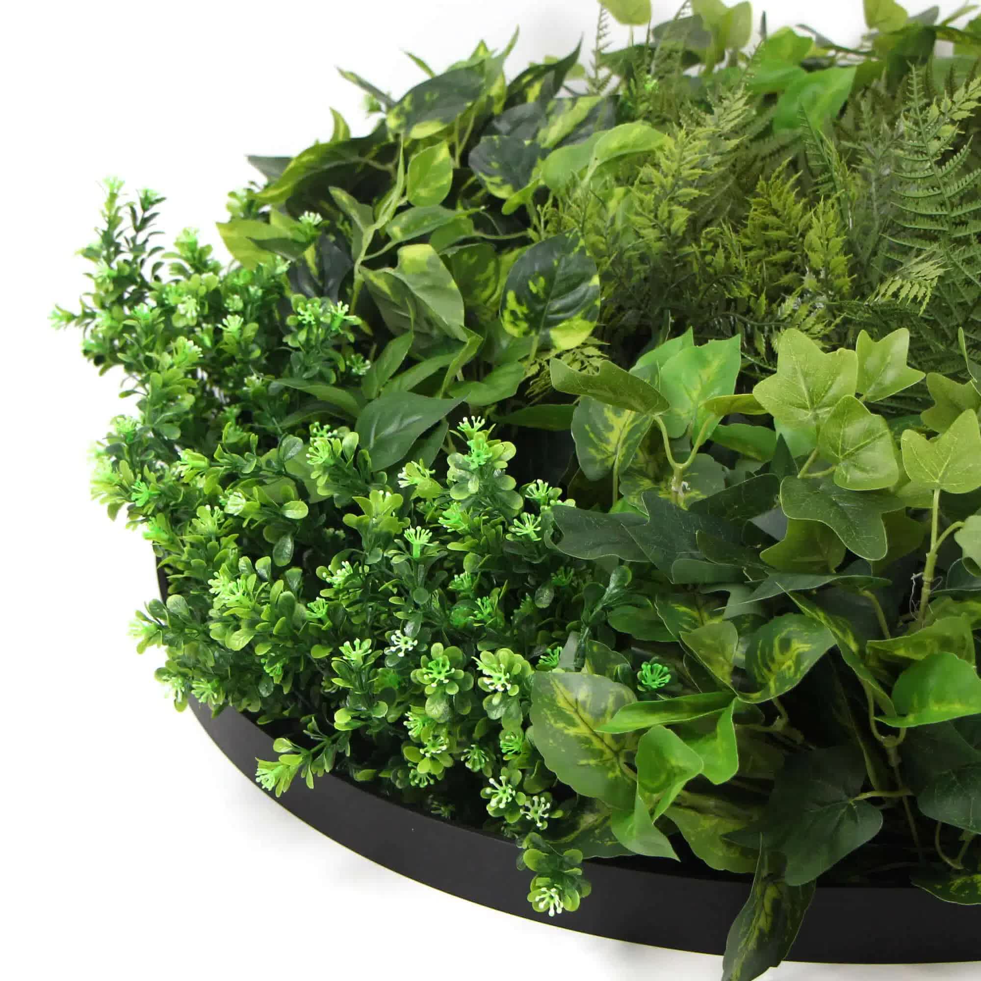 Artificial green wall disc art with mixed fern and ivy in modern black frame, 80cm, by Faux Flora for home and garden decor.
