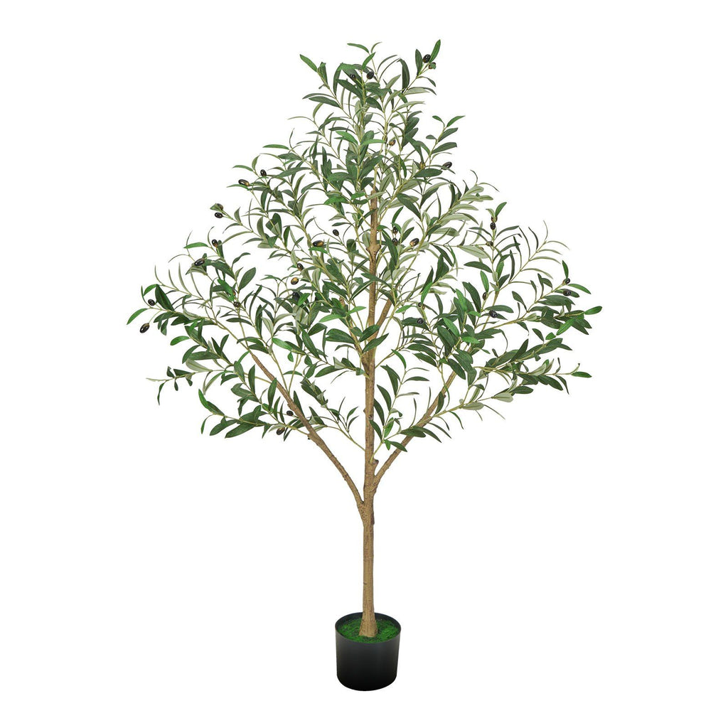 Studio Mediterranean Olive Tree 150cm