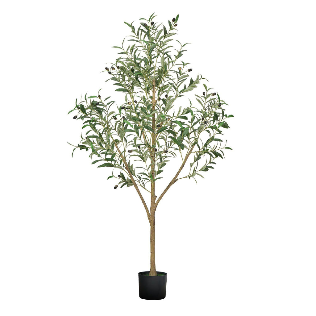 Studio Mediterranean Olive Tree 150cm