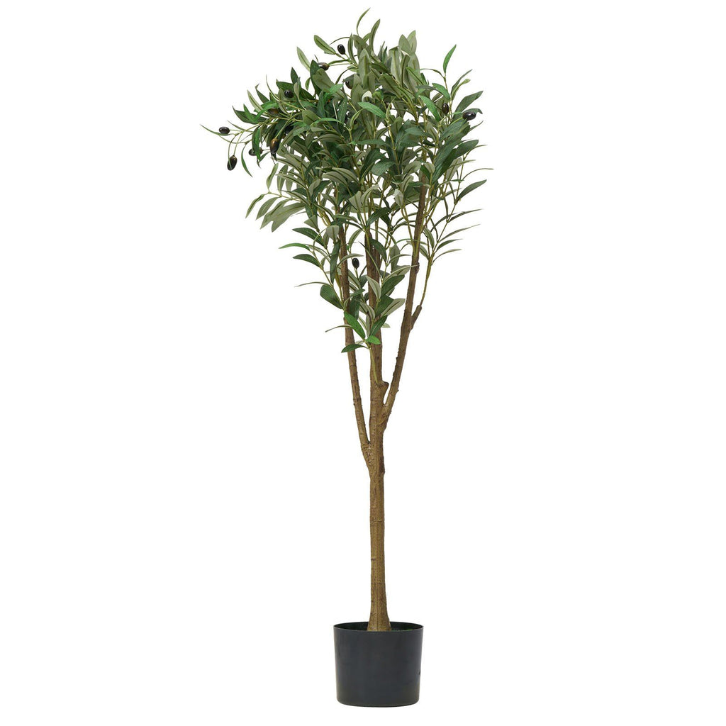 Studio Mediterranean Olive Tree 150cm