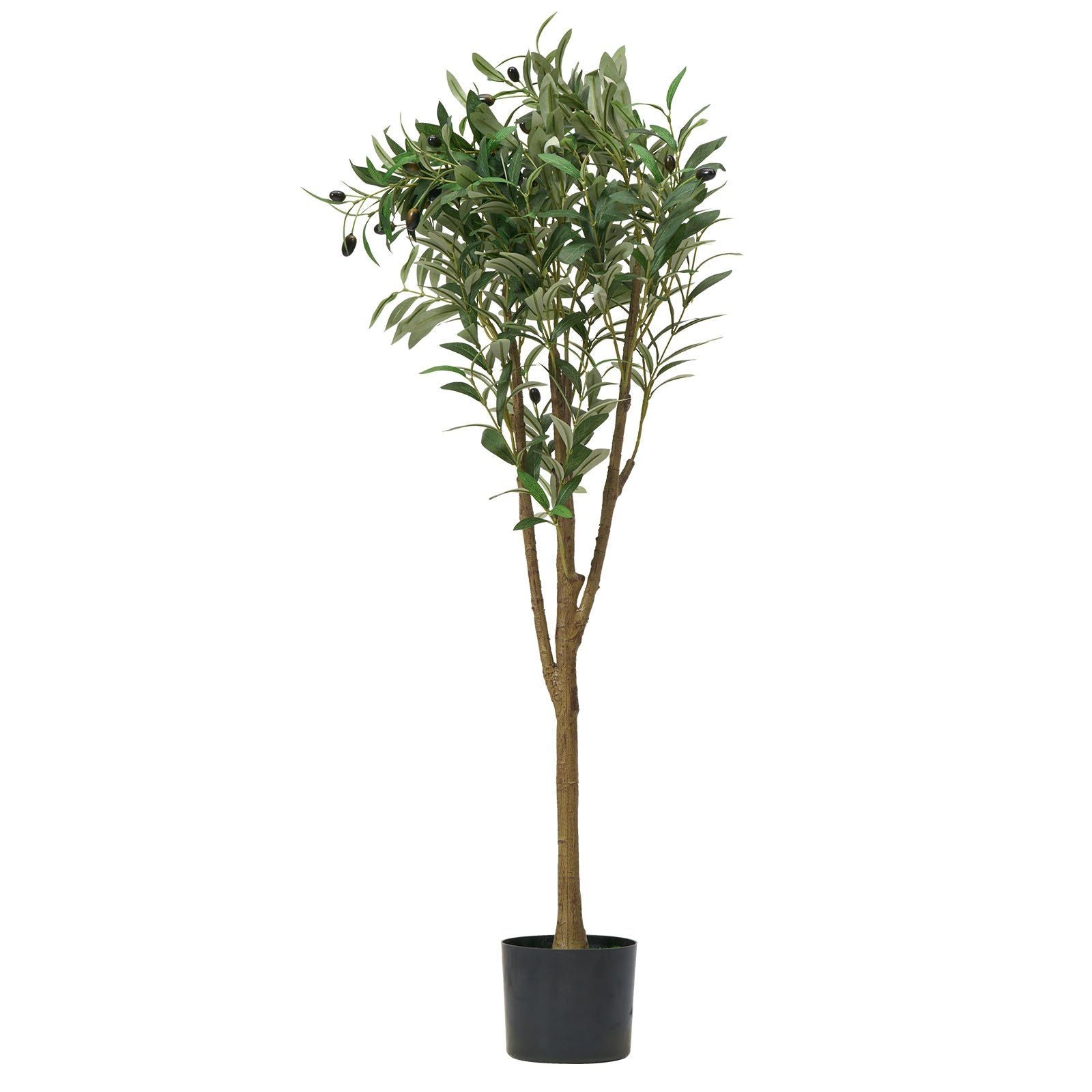 Studio Mediterranean Olive Tree 150cm