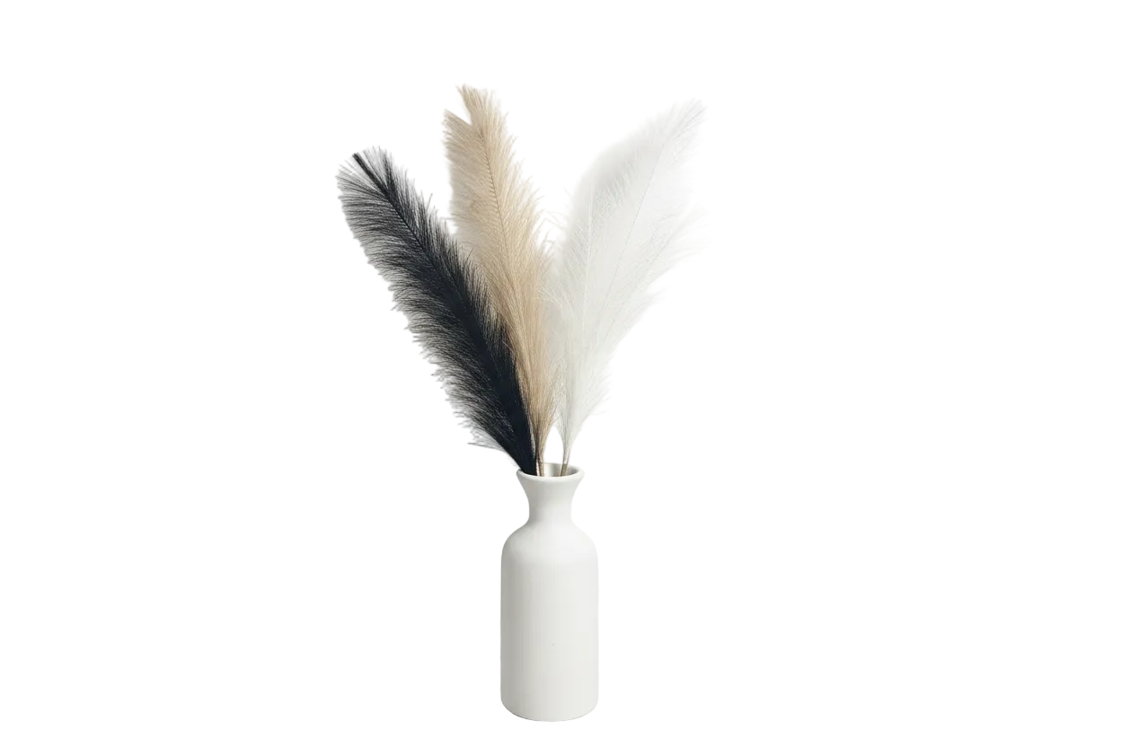 All 3 pampas - stark white