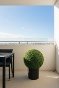 Balcony lifestyle