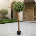 Ball Topiary – Portrait Garden
