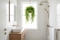 Bathroom – basket backlit by window light